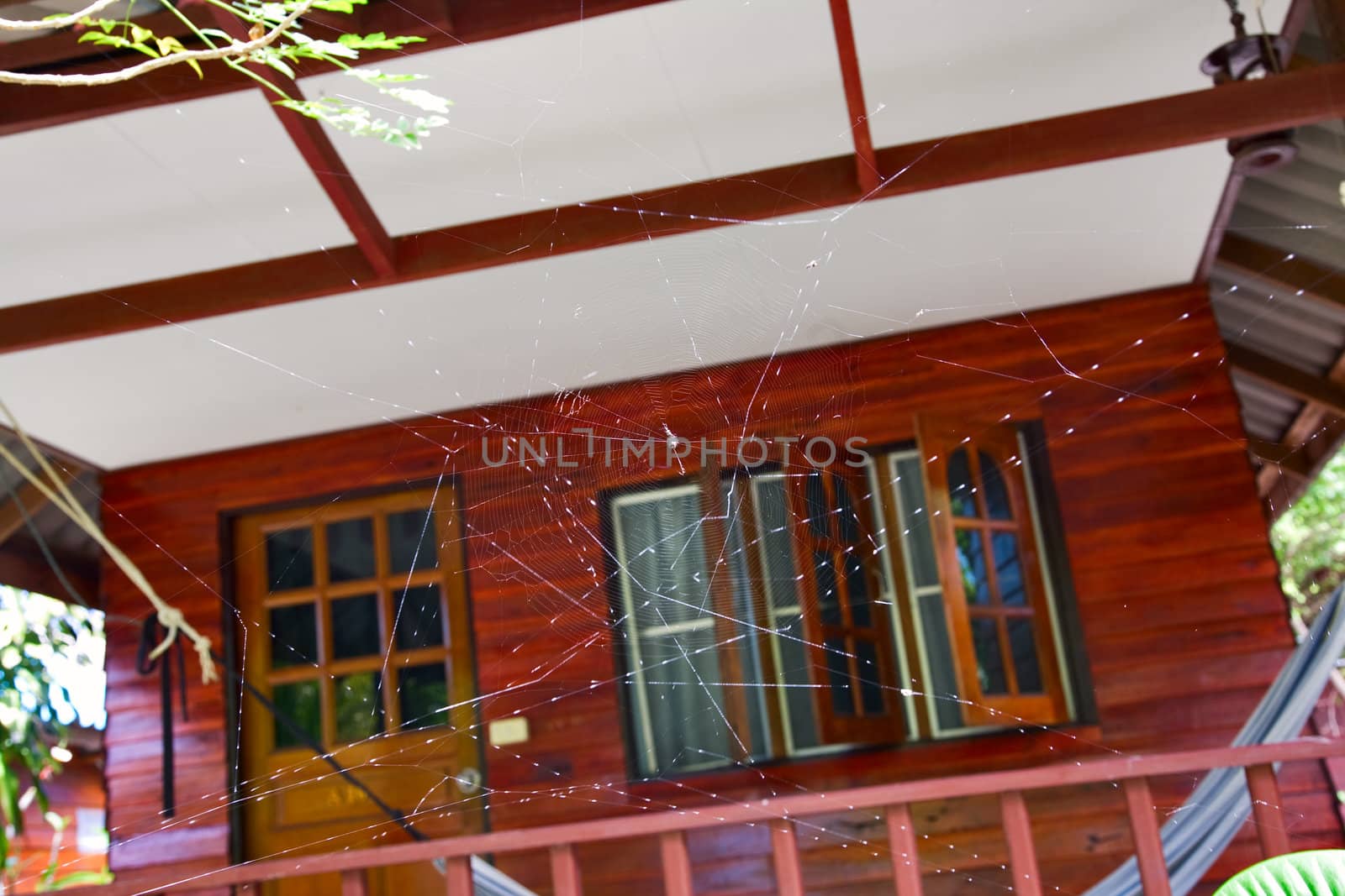 spiderweb against wooden house with windows and door
