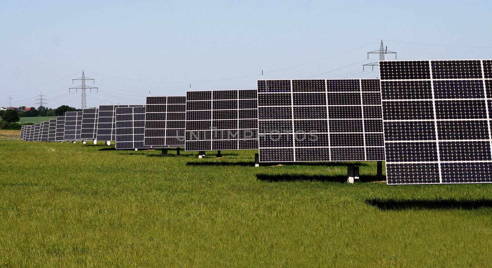 solar plants in the rows by photochecker