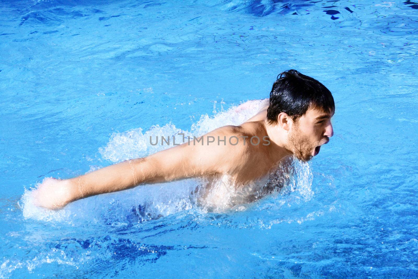butterfly swimmer in pool by photochecker