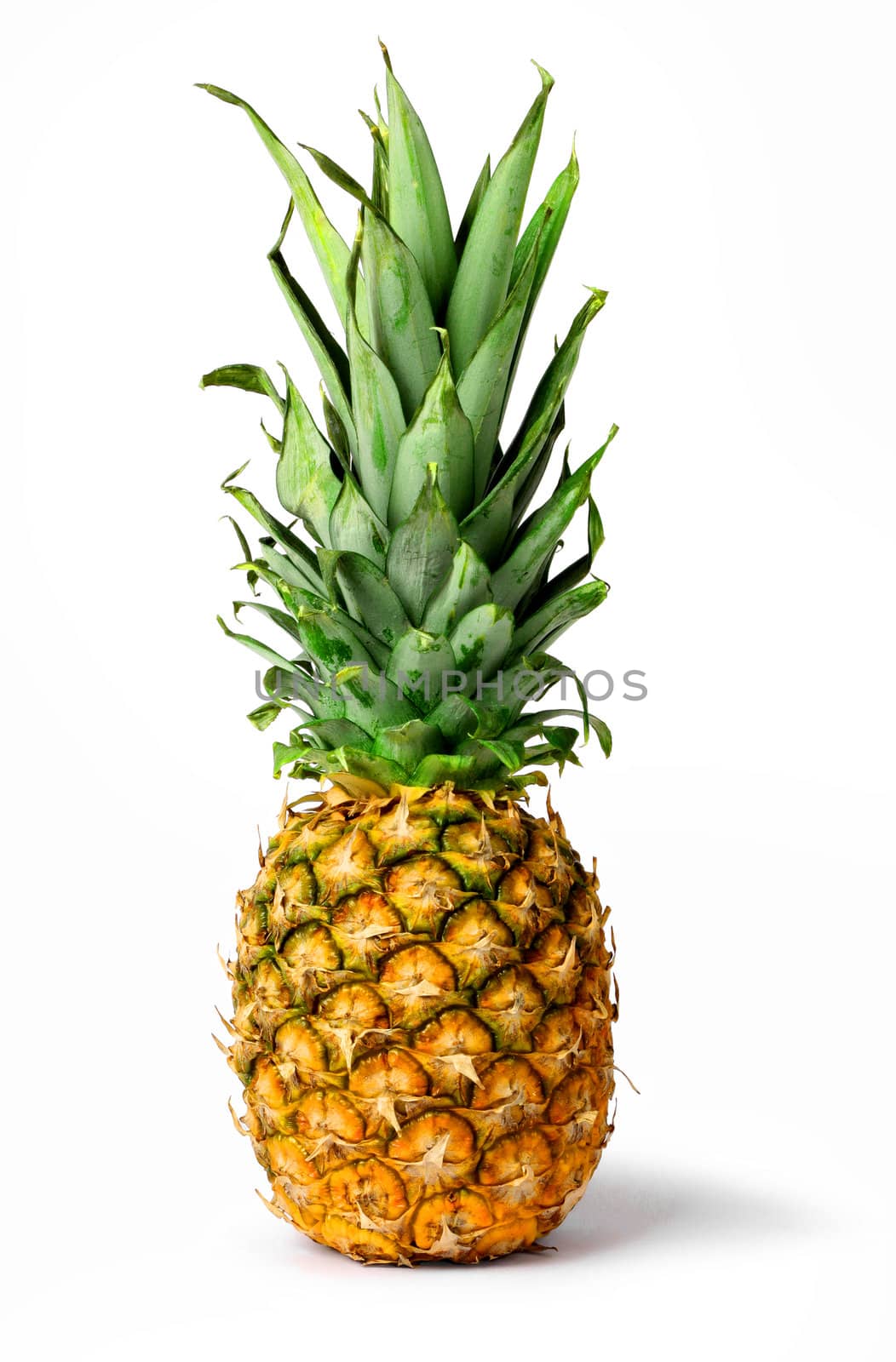 Fresh tropical pineapple fruit isolated on white background