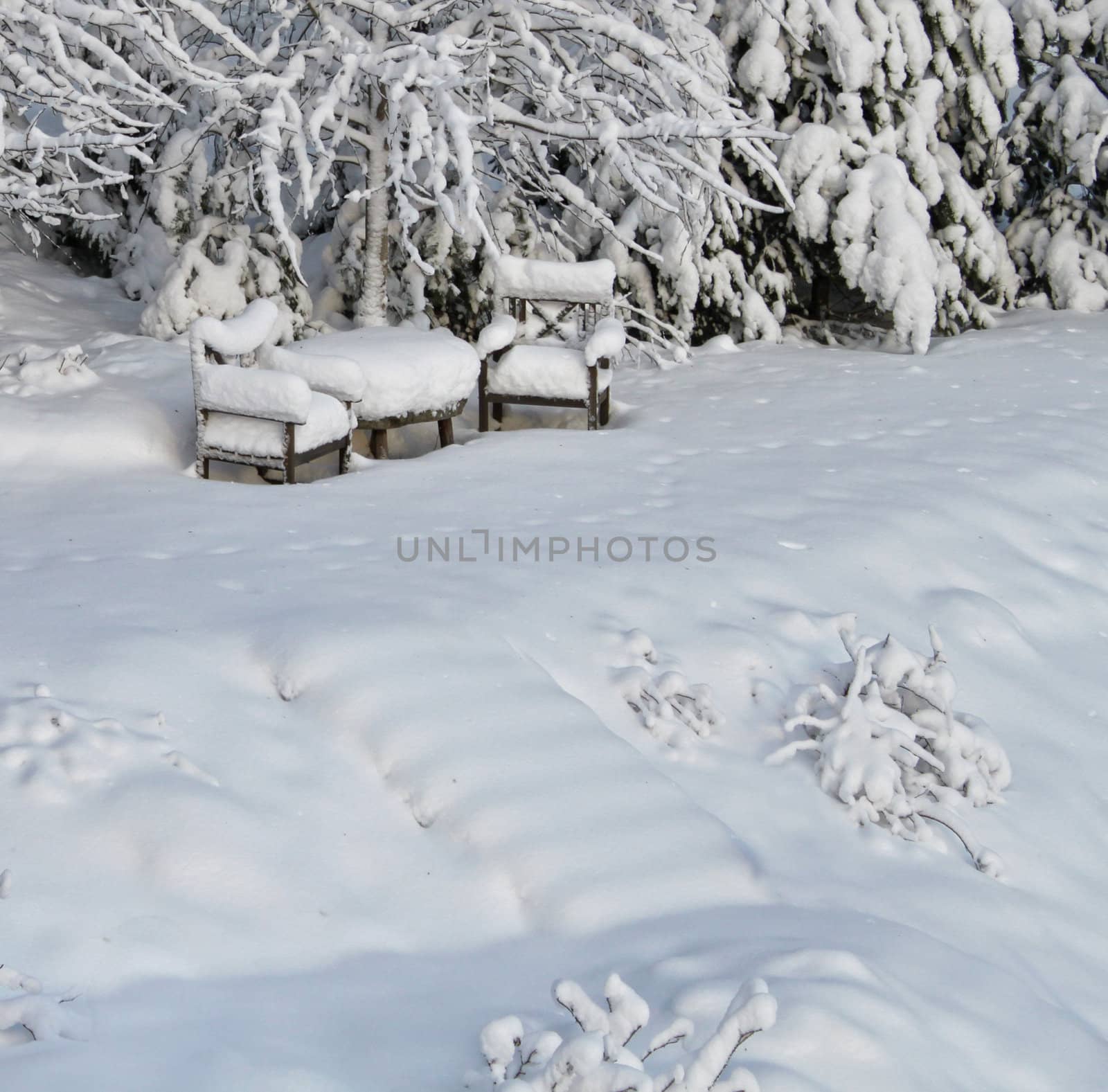 Snowy chairs in winter by anterovium