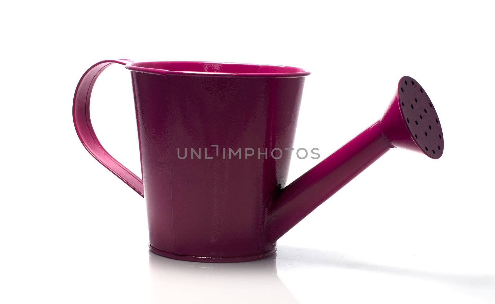 pink watering can isolated on white