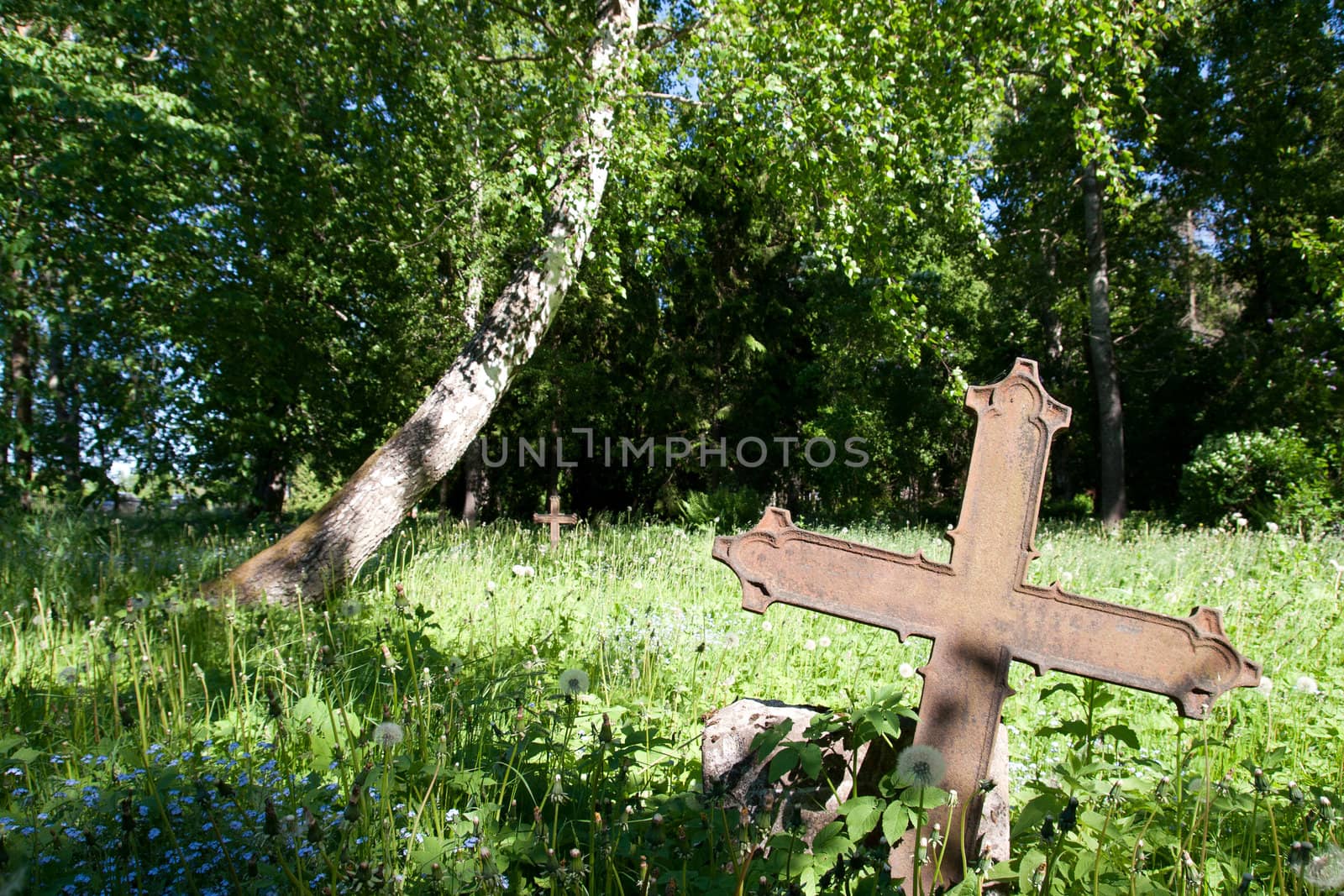 abandoned cemetery with a rusty iron cross on the front