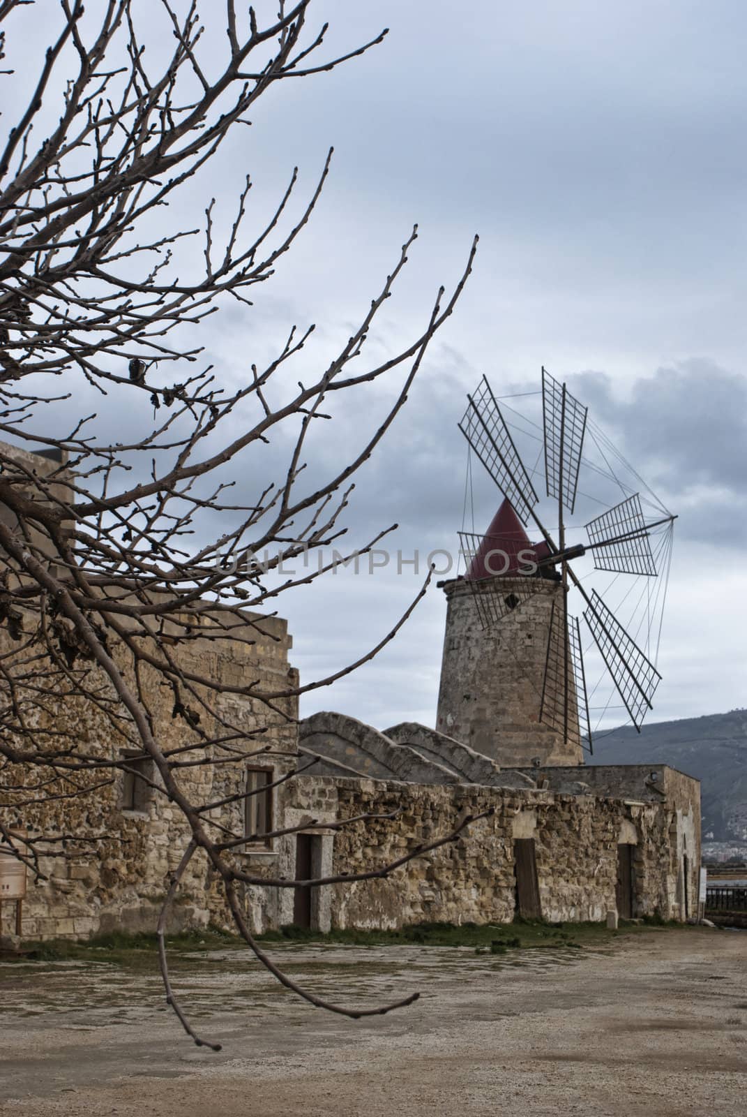 Windmill by gandolfocannatella