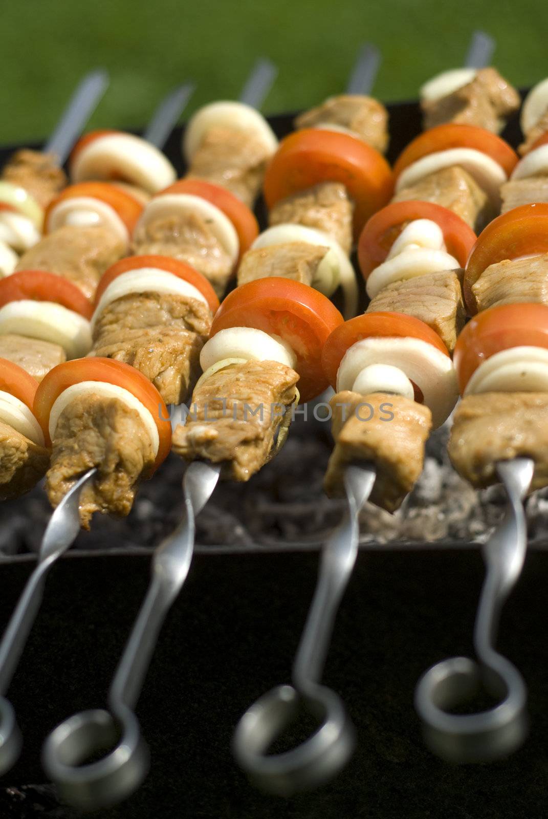 appetizing kebabs cooking on the BBQ at sunday