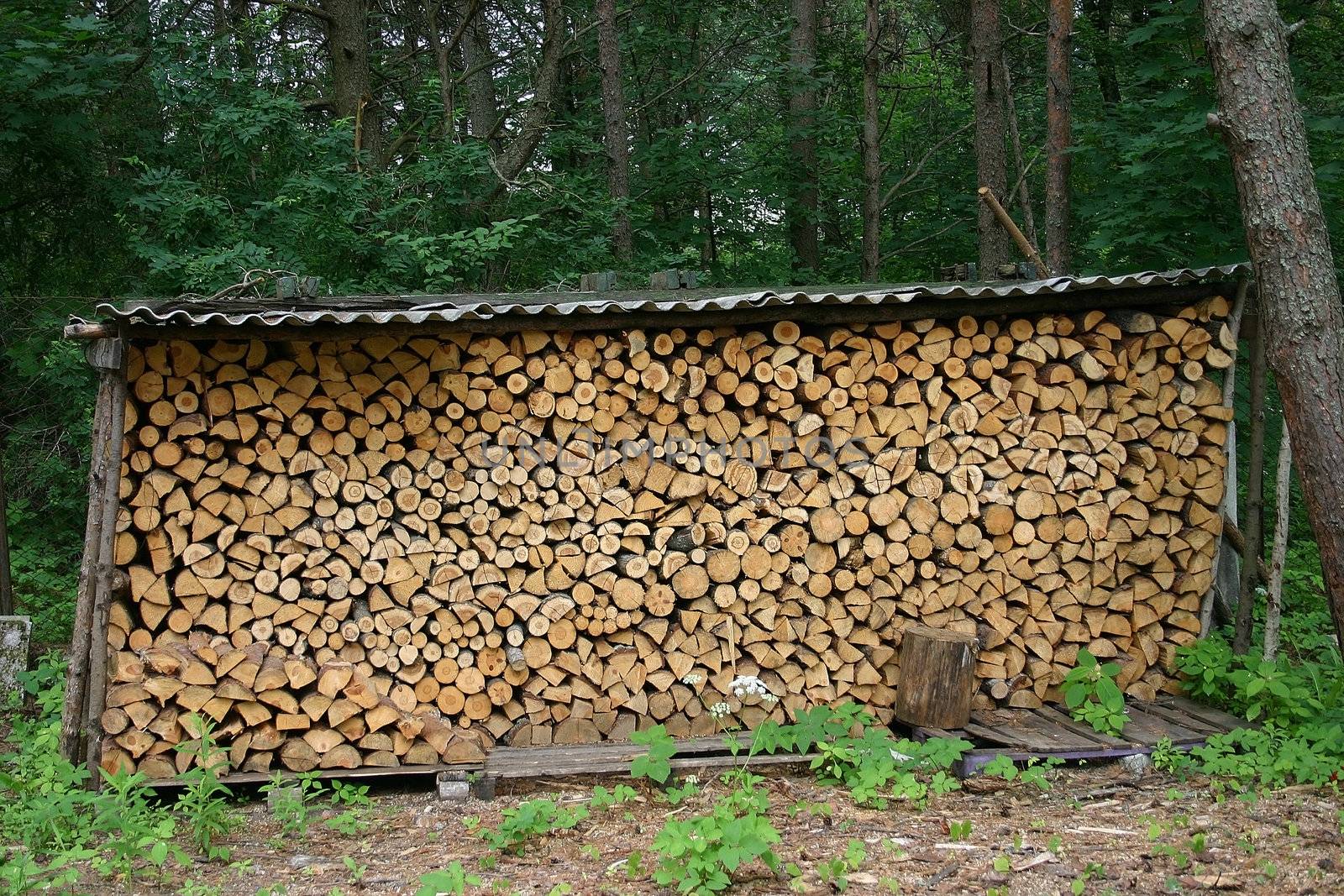 Firewood from a tree the brown Fire wood combined under a roof