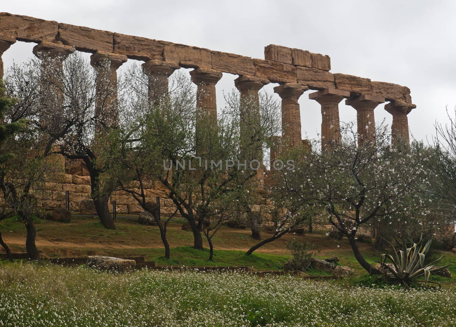 Greek temple of Agrigento by gandolfocannatella