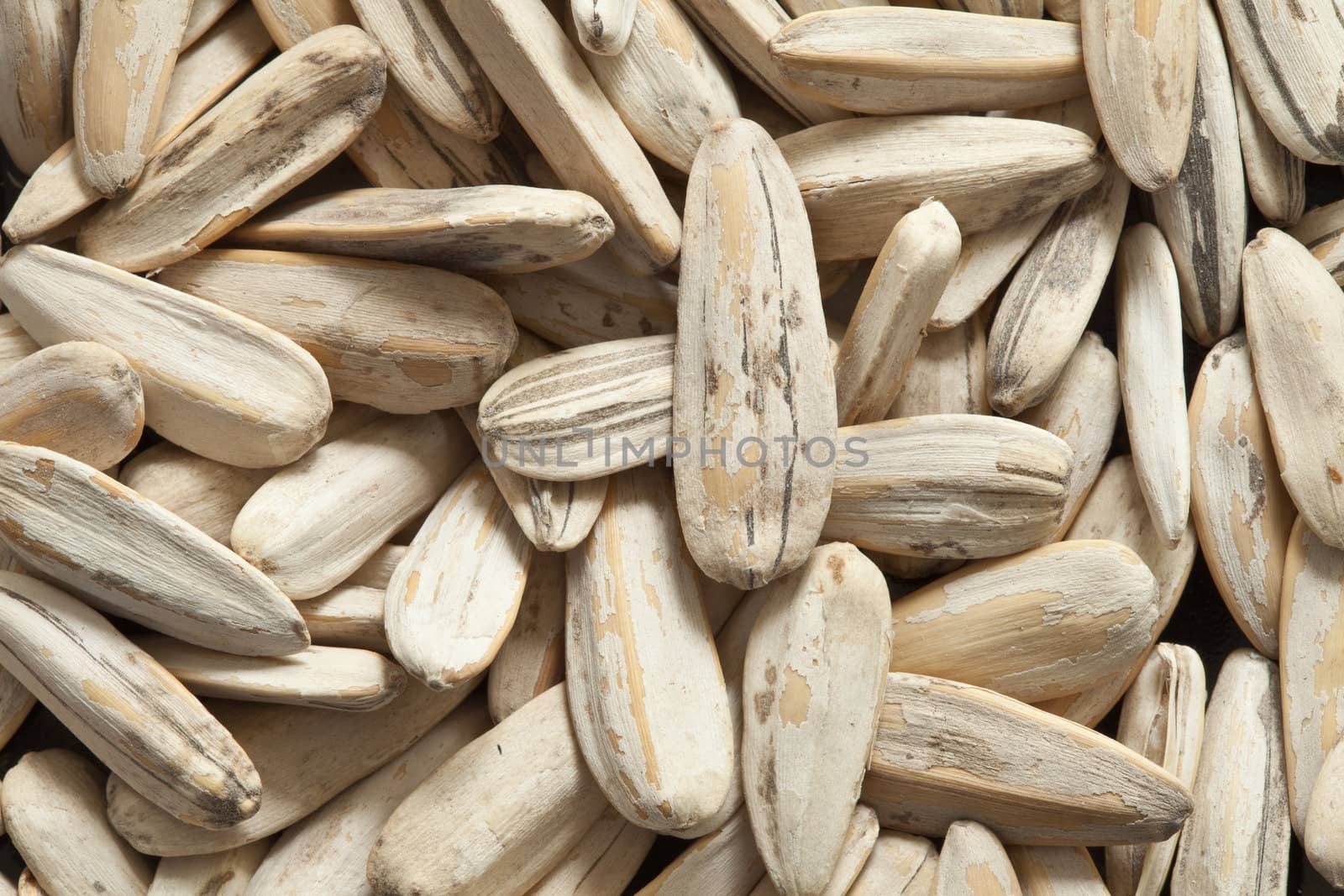 Large sunflower seeds close-up. Side lighting, macro