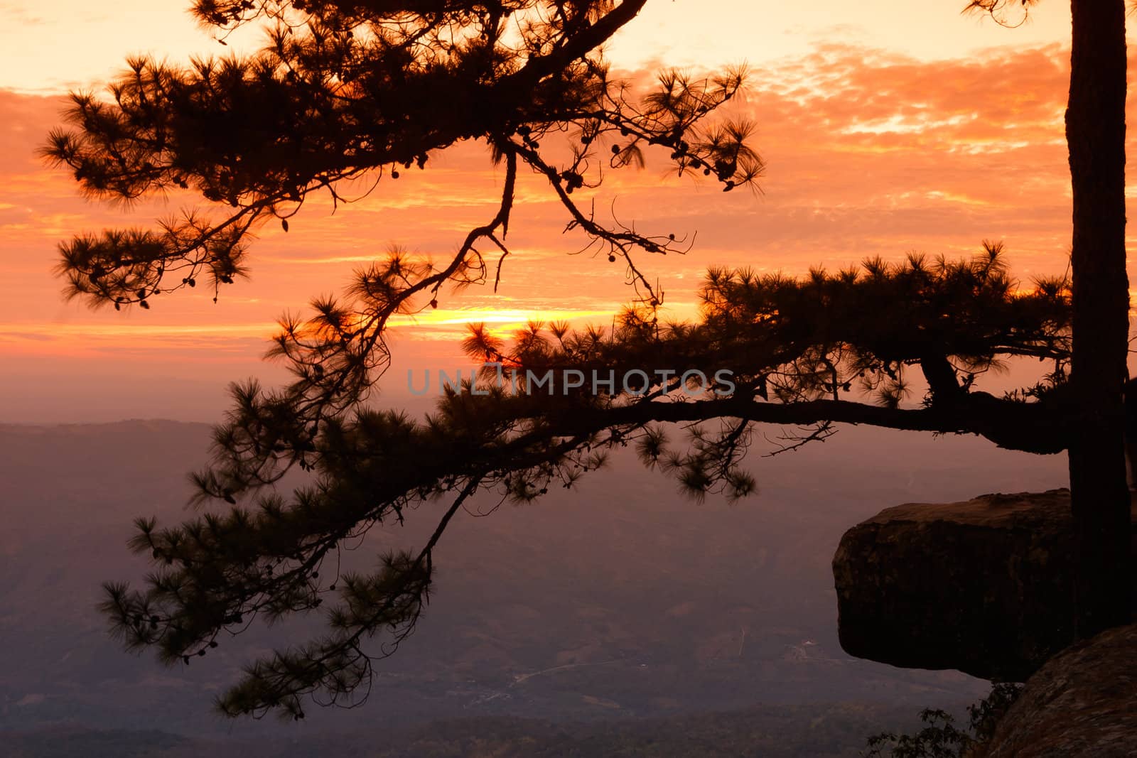 Sunrise View point at Phukradung National Park, Loei Province, T by jame_j@homail.com