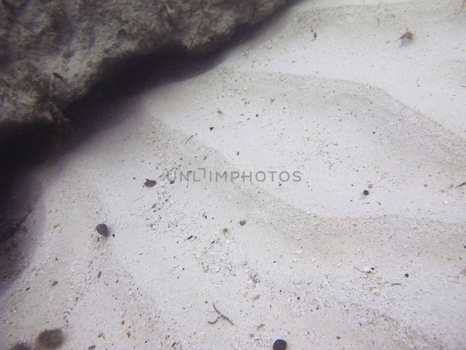 close up view of a sandy bottom underwater