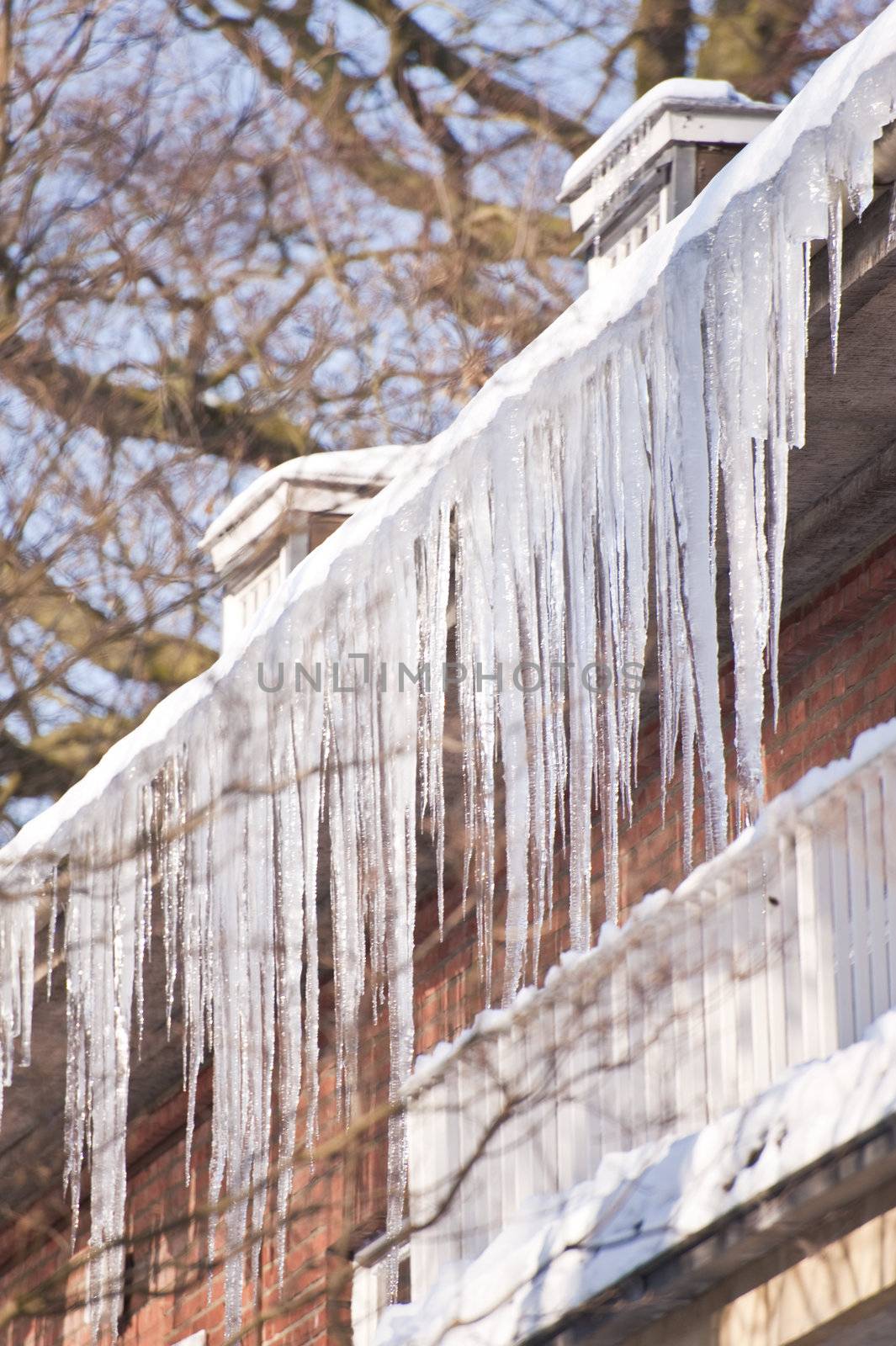 Icicles on a Roof