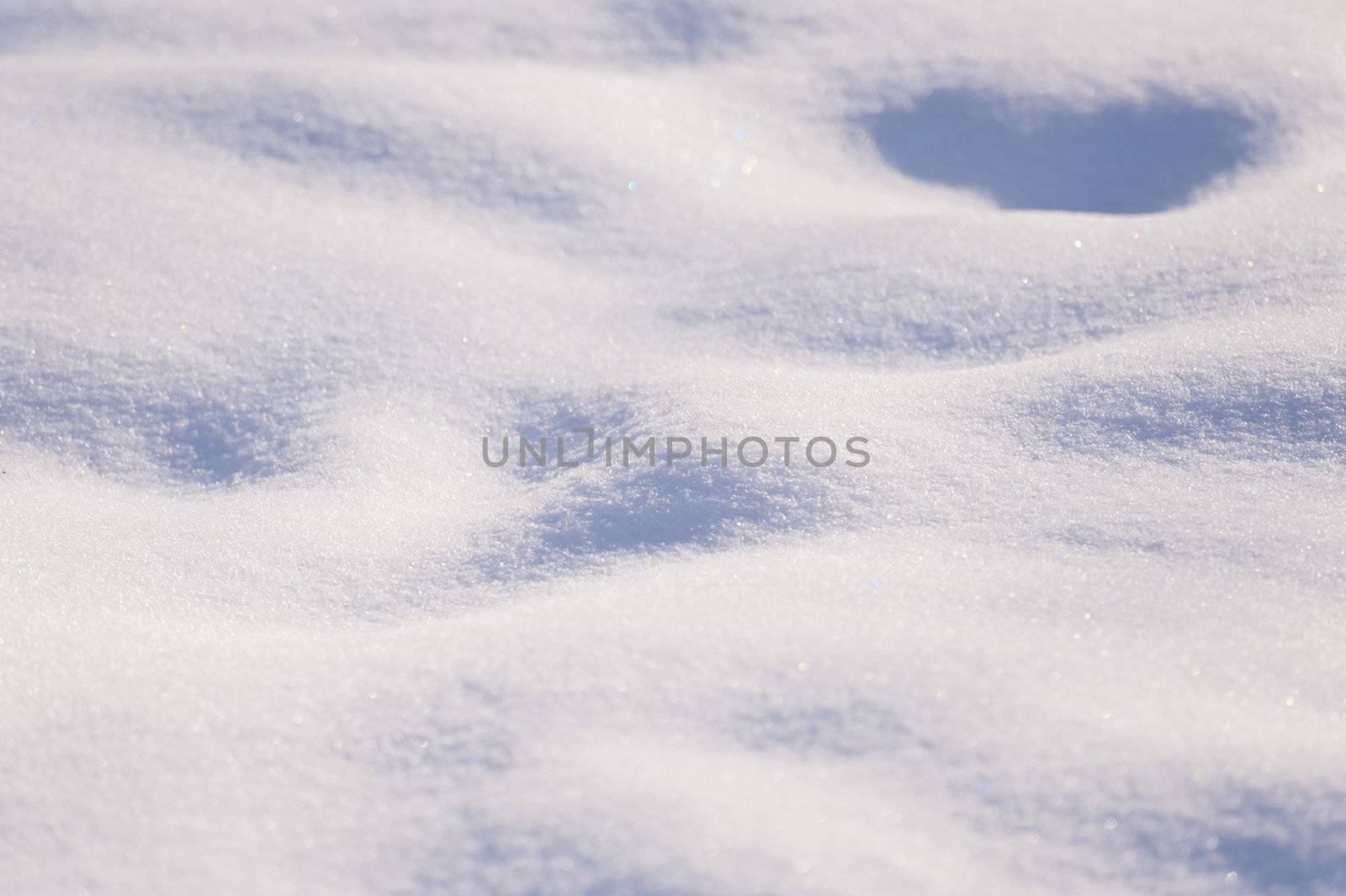 scene of a icy winter