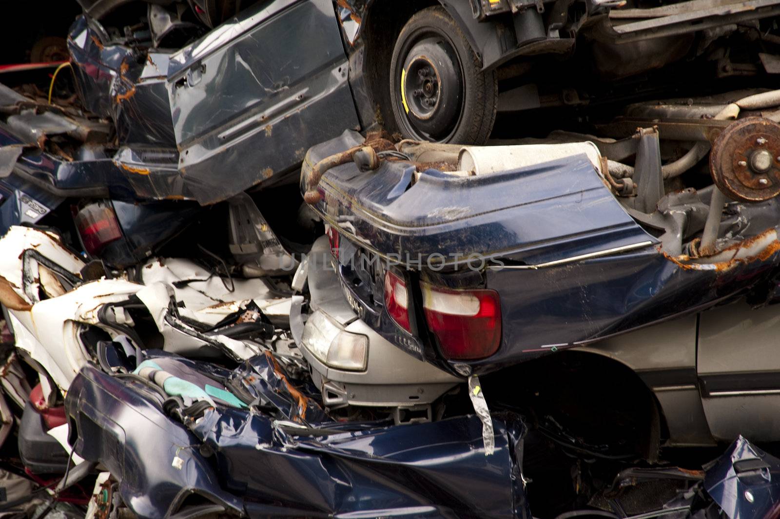 scene on a scrap heap