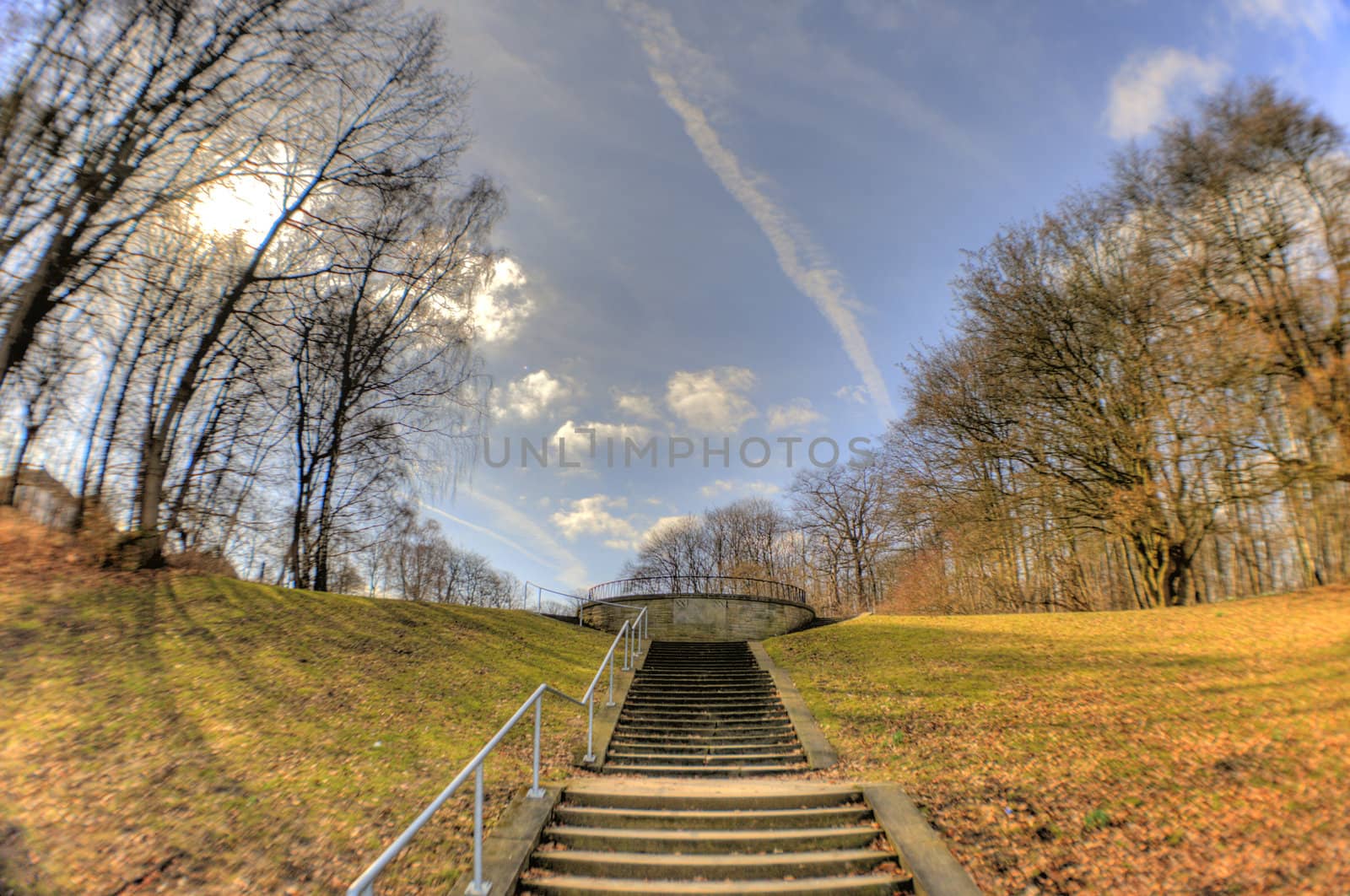 landscape in a wide angle
