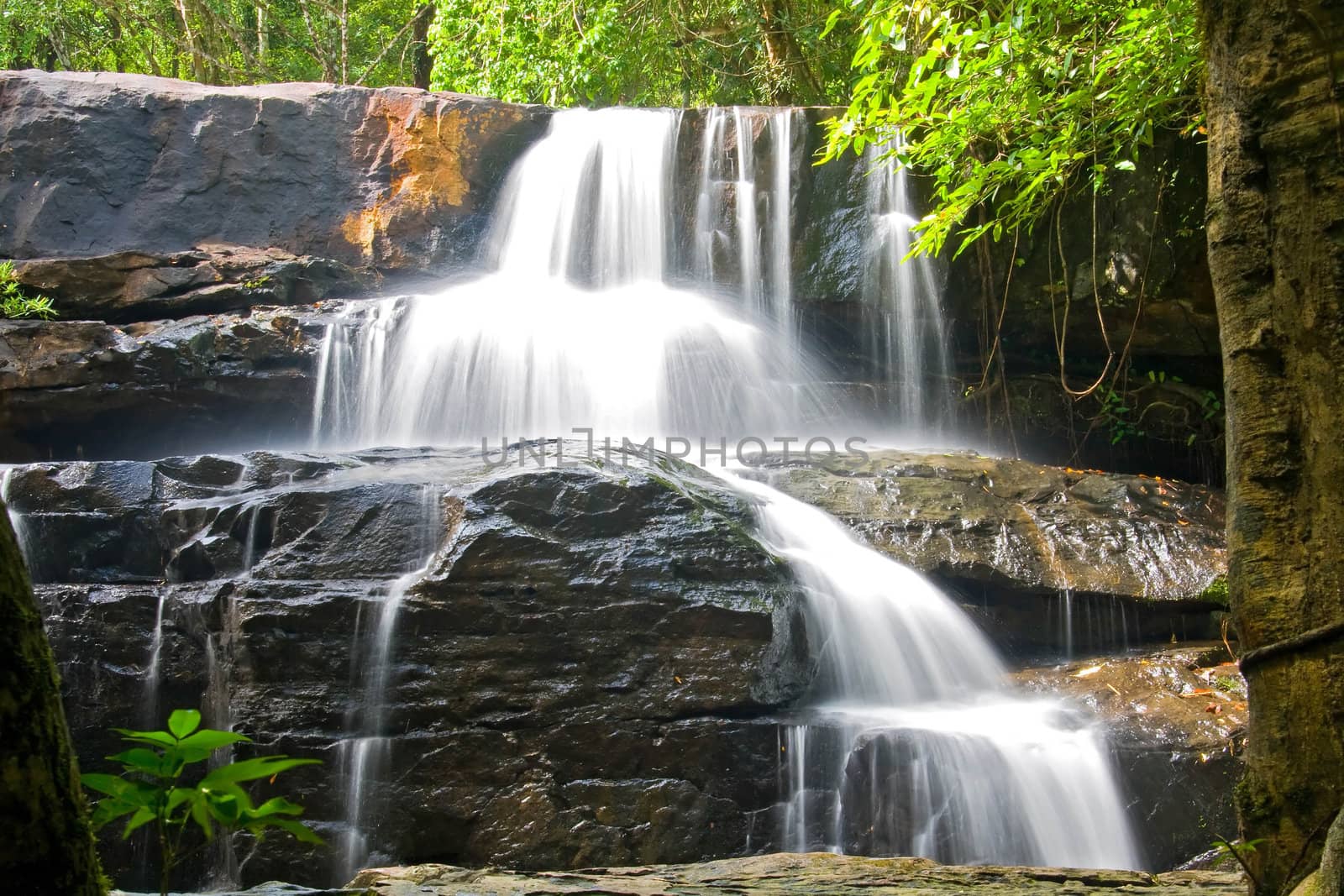 Pangsida Paradise Waterfall East of Thailand