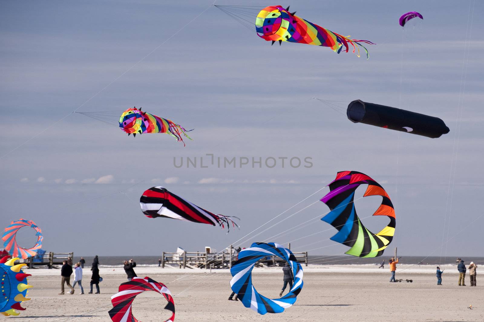kite festival in st. peter-ording / germany