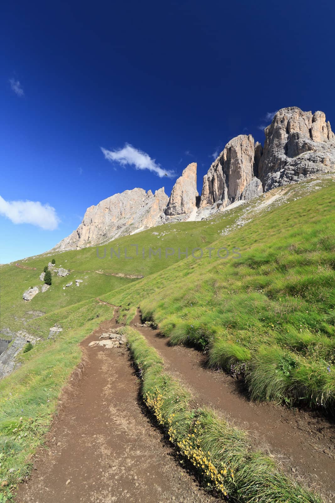 hike beneath Sassolungo Mount on summer, Trentino, Italy