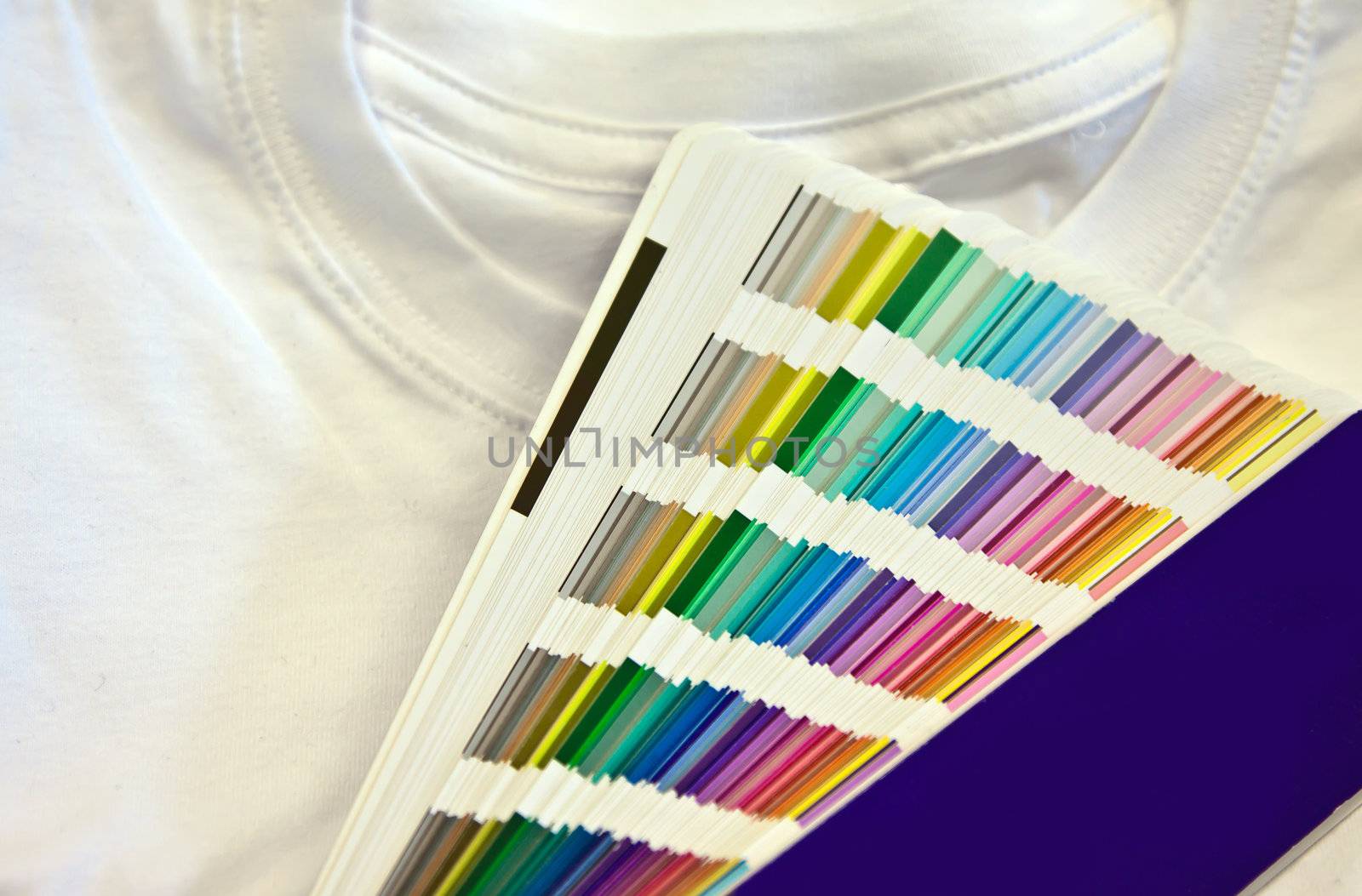 color scale and white t-shirt 