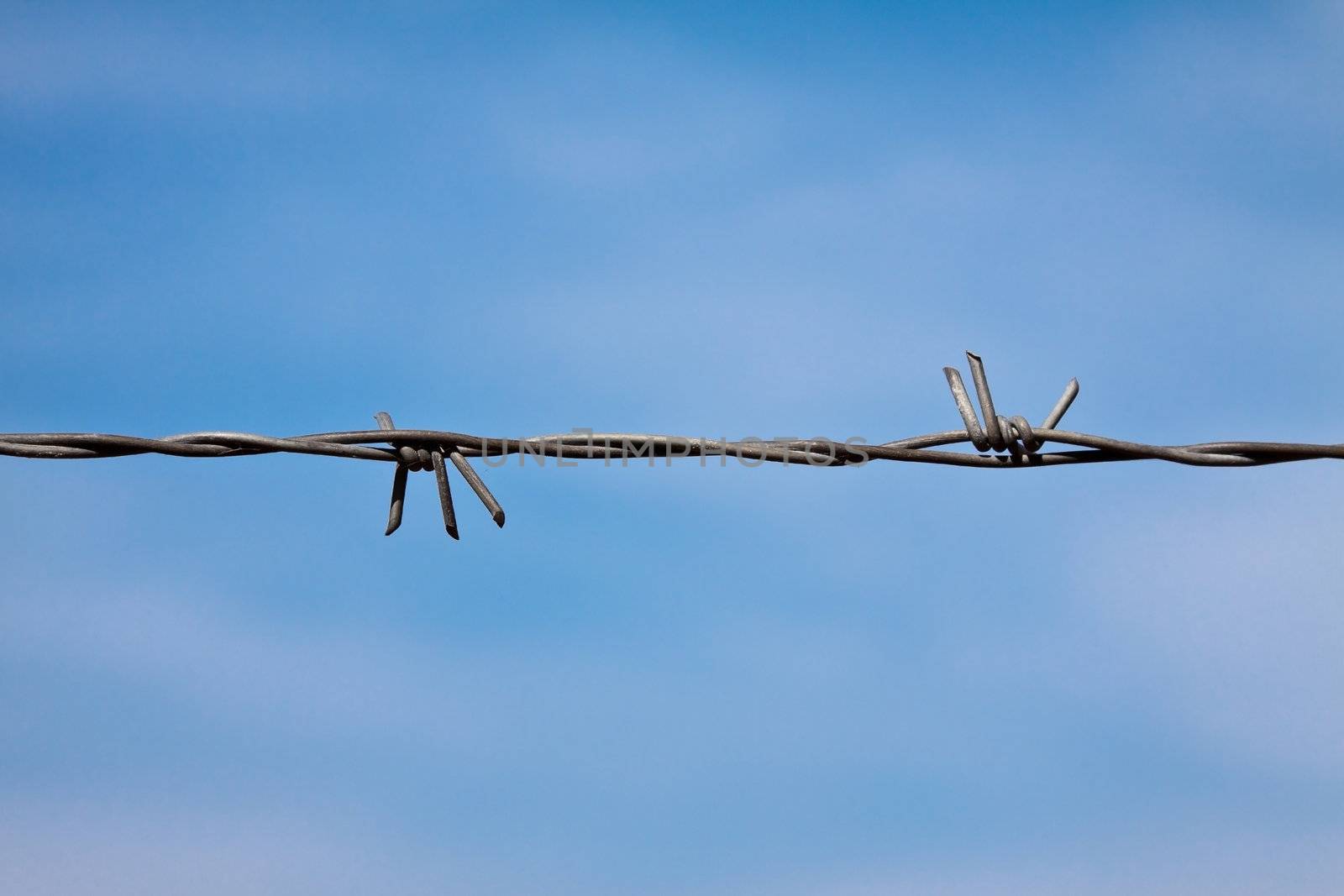 barbed wire and blue sky