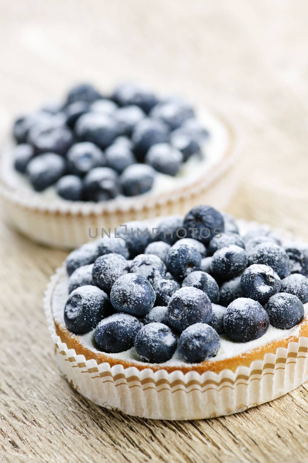 Closeup of fancy gourmet fresh blueberry dessert tarts