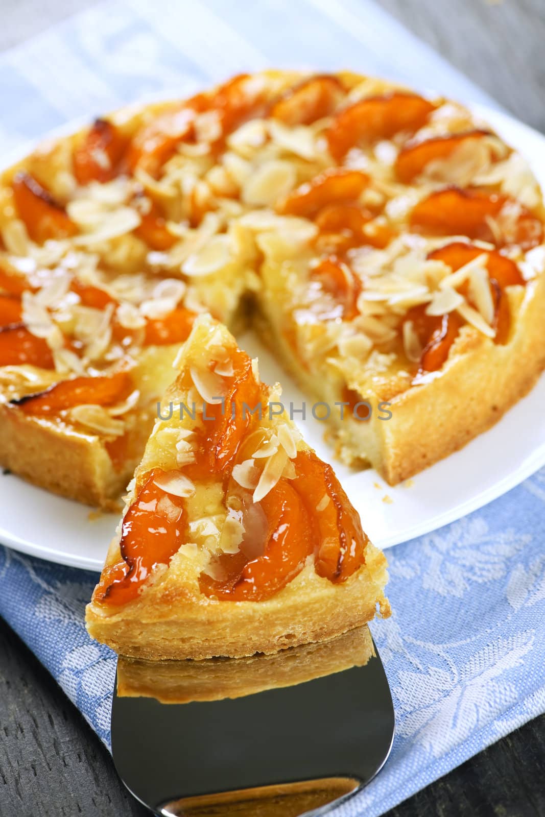 Slice of apricot and almond pie by elenathewise