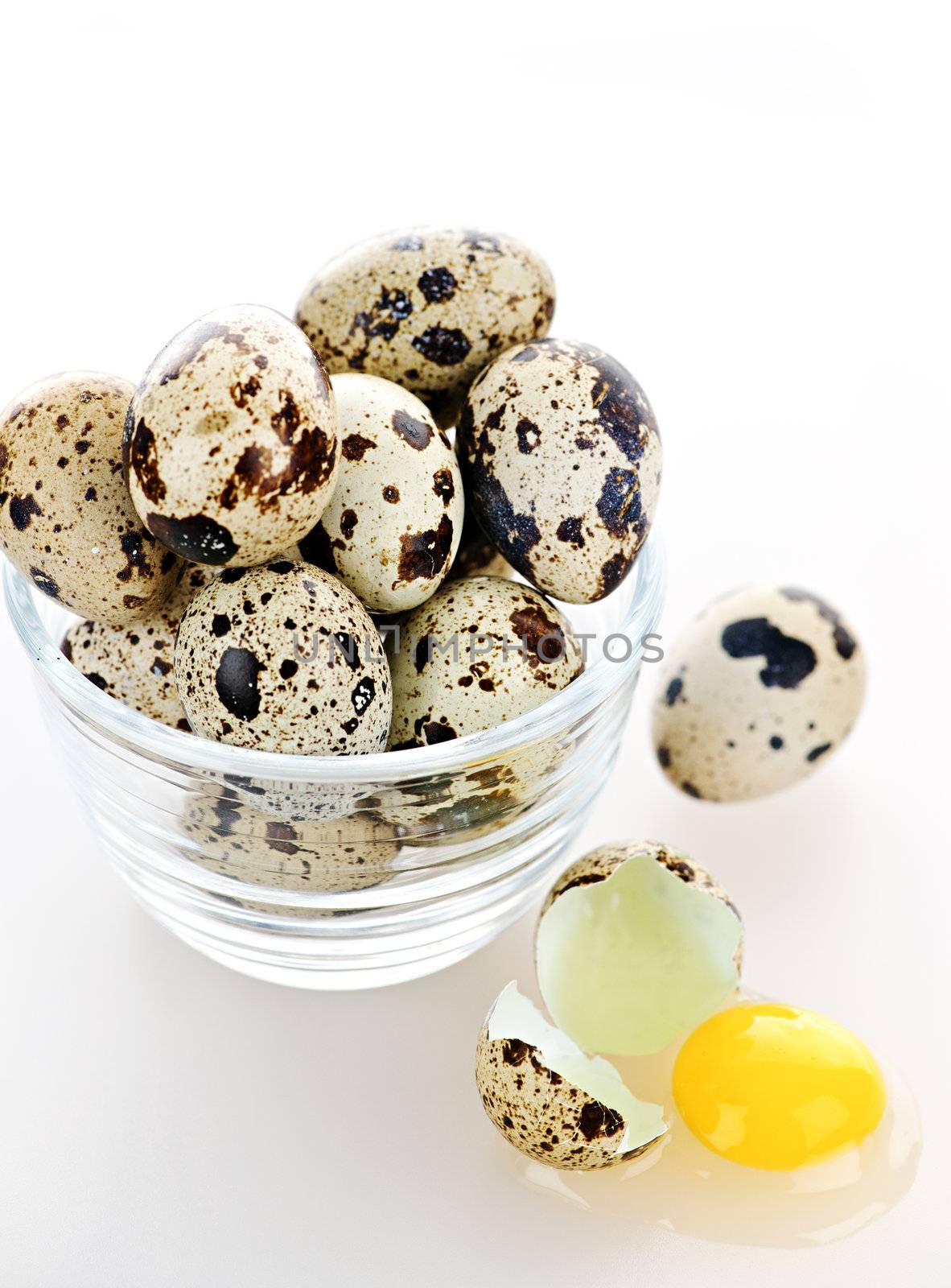 Many small speckled quail eggs with one broken egg