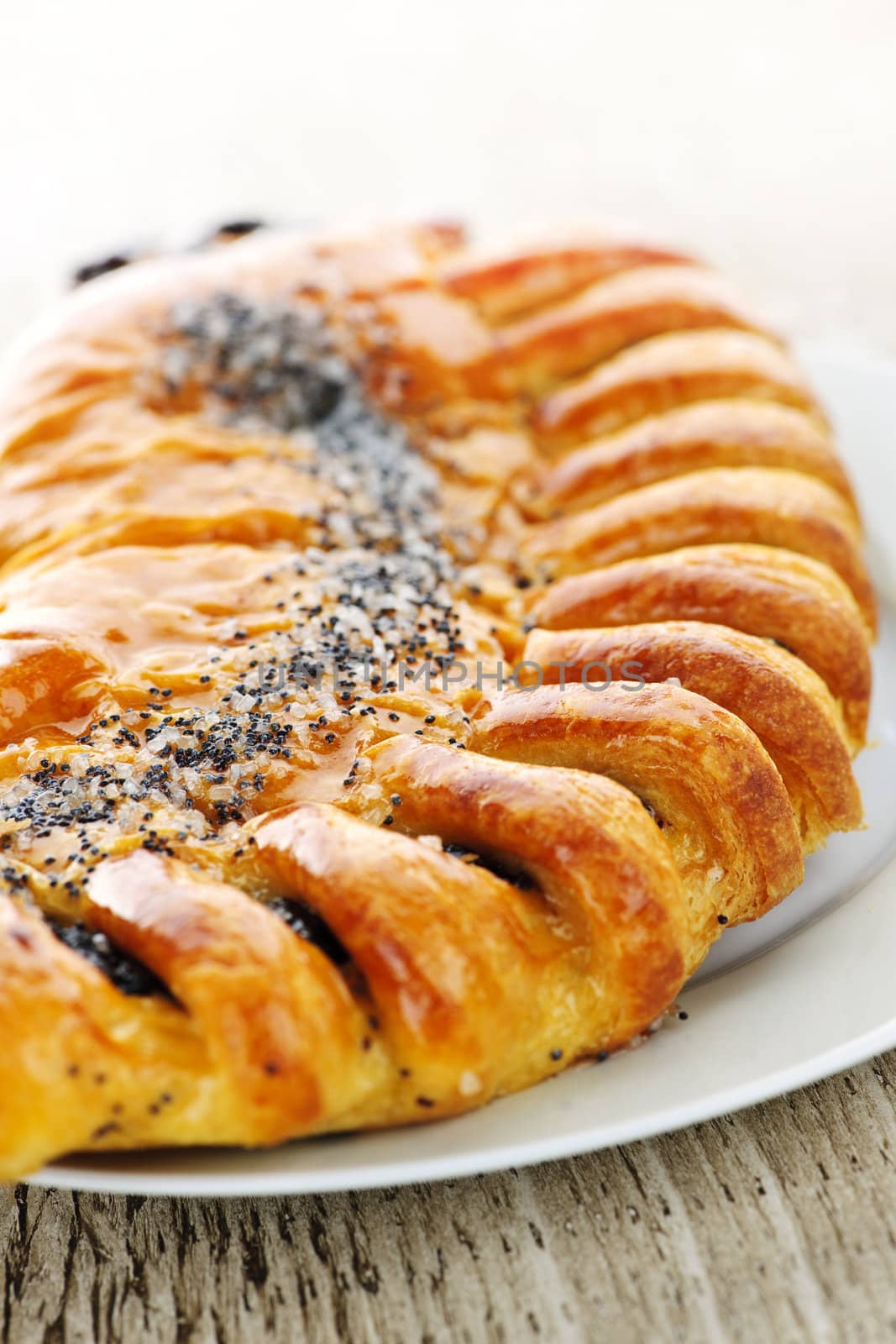 Closeup of poppy seed strudel dessert pastry