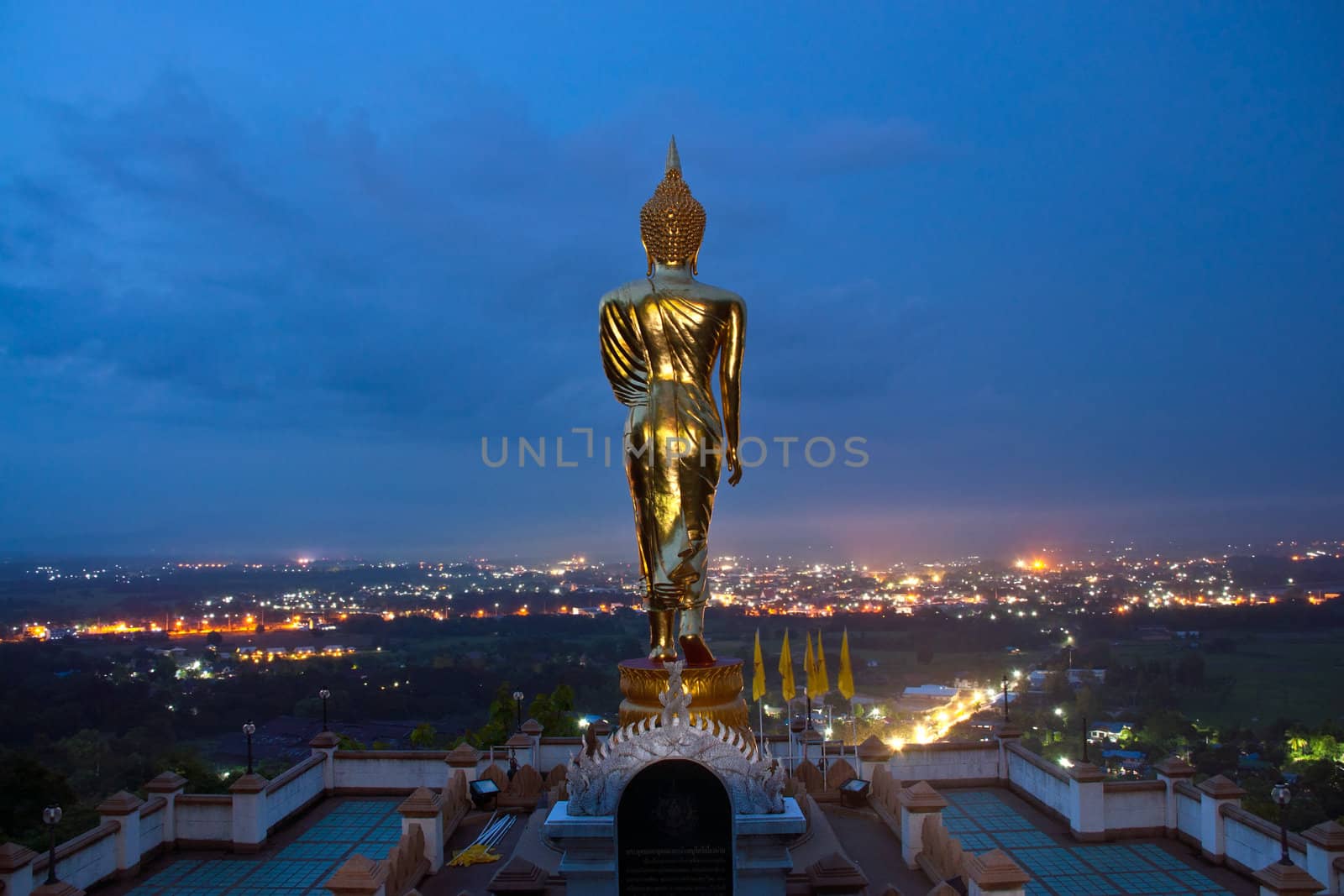 Buddha Standing Color Gold by Yuri2012