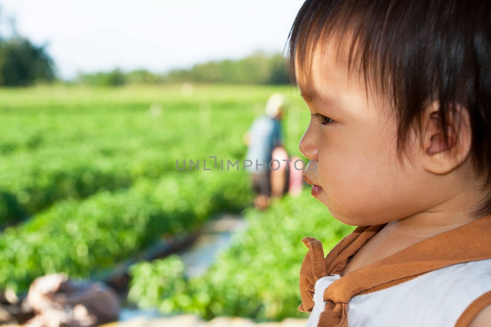 People working in the park of green peppers by Yuri2012