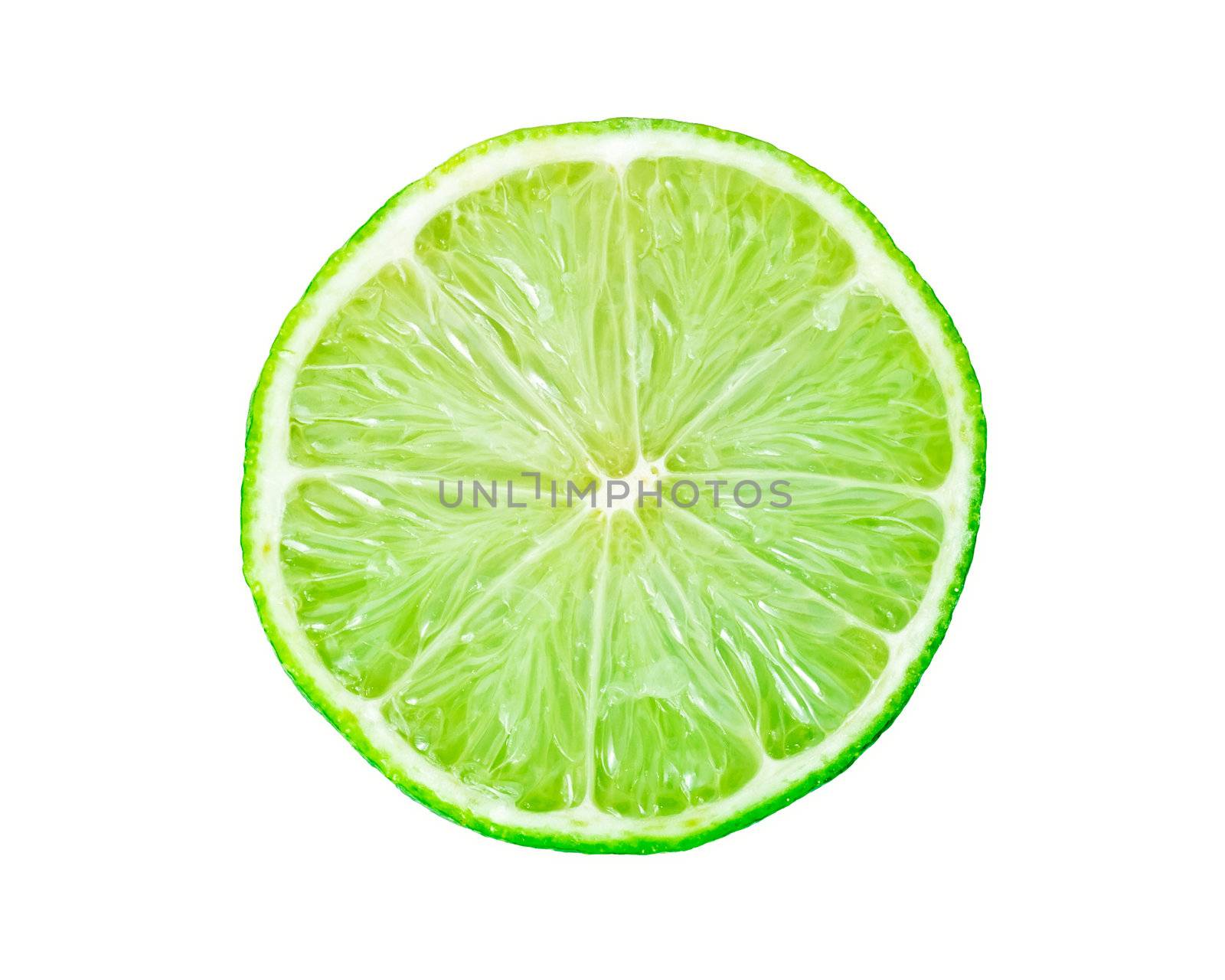 Lime by sailorr