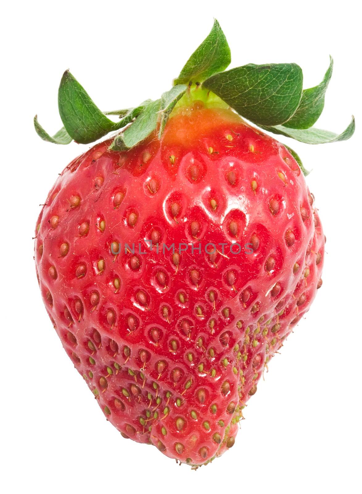 Fresh strawberry isolated on white background