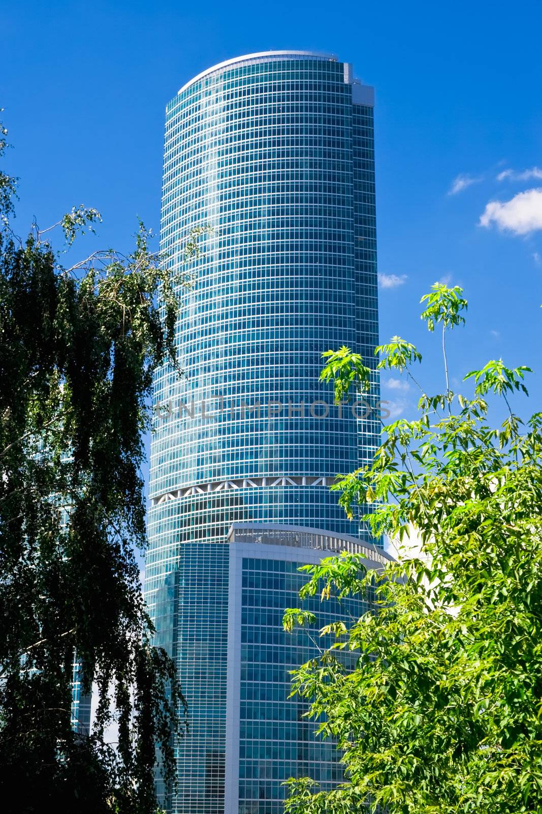 High skyscraper and green tree in Moscow city