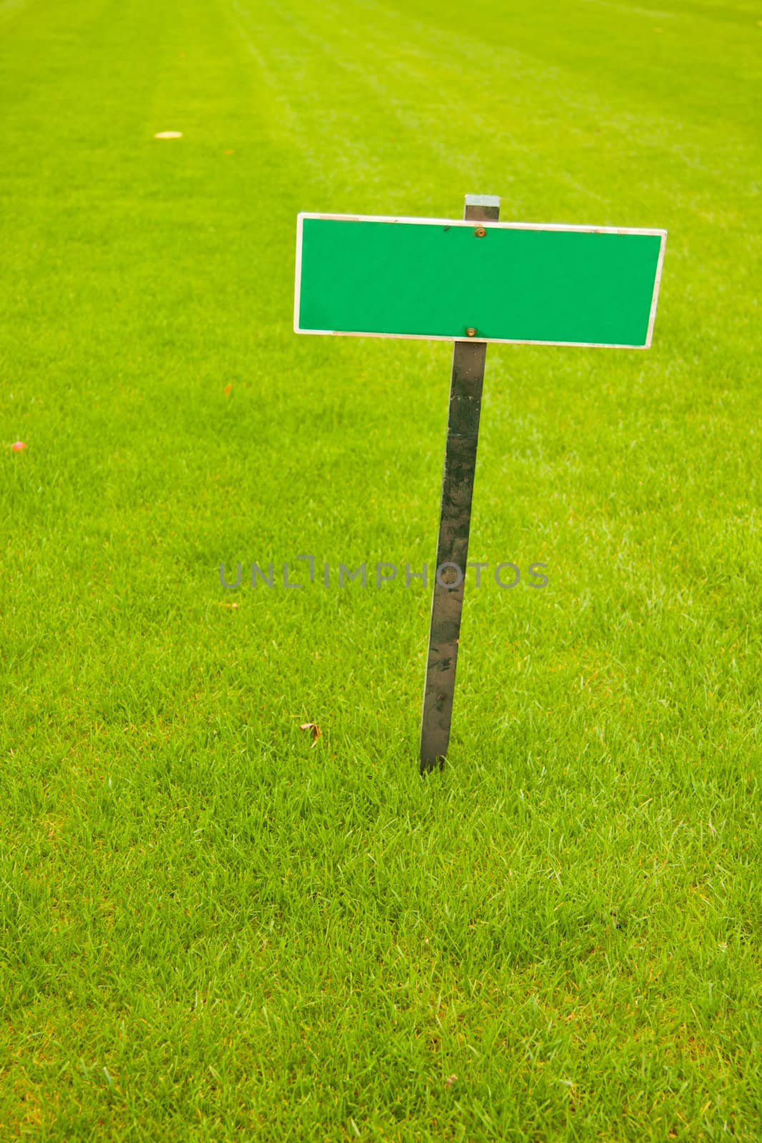 Green grass with a sign, vertical shot with copy space