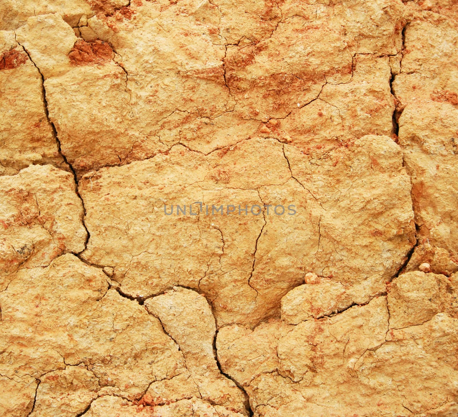 Soil texture can use as background 