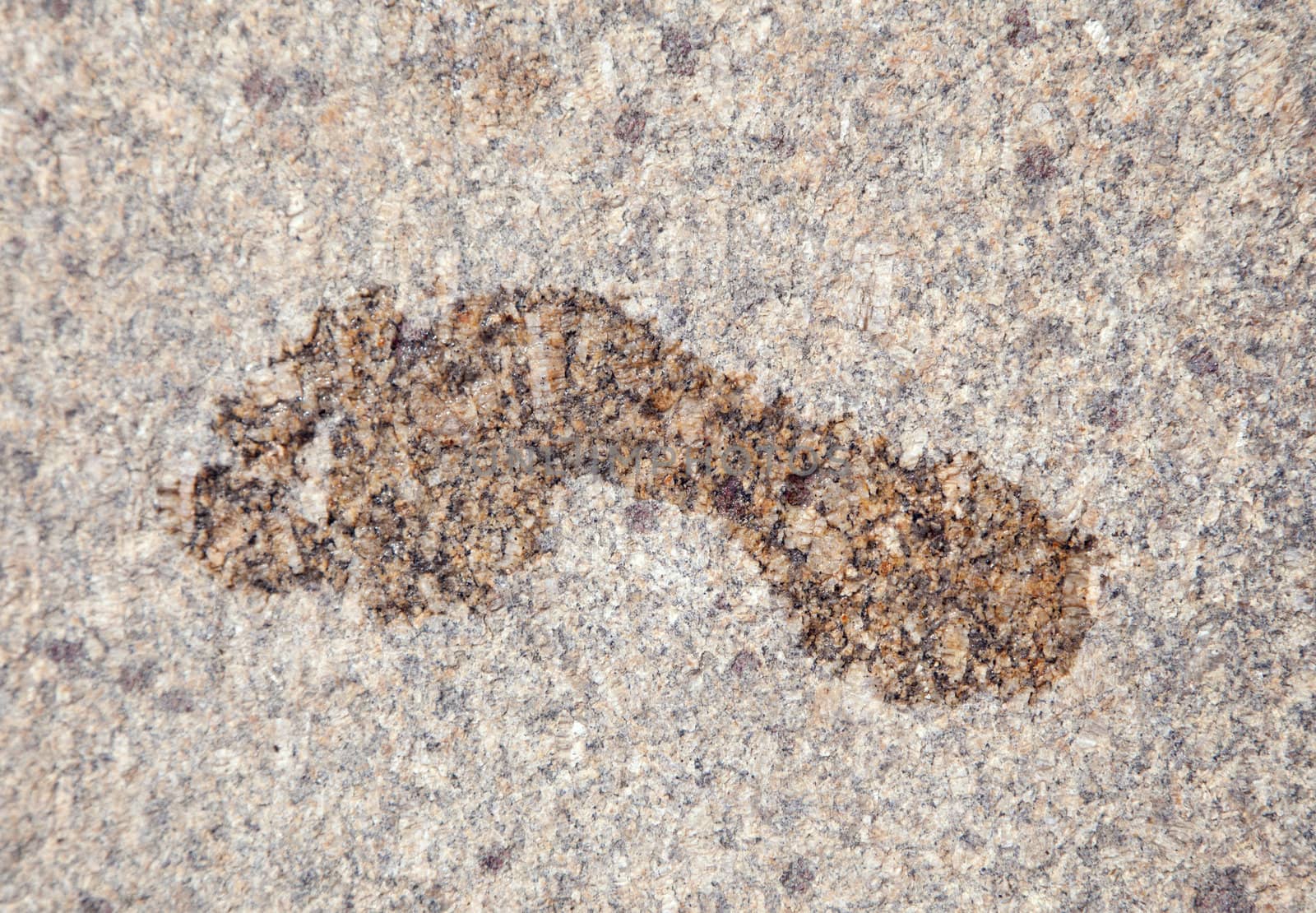 Wet print of bare foot on granite