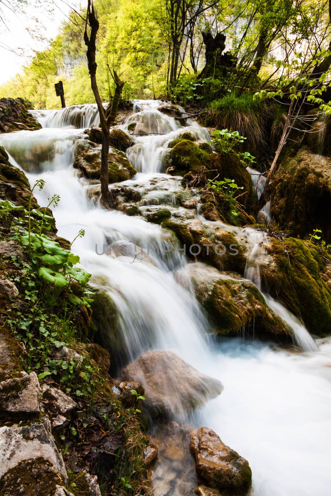 Whitewater running in the forest. Plitvice Lakes National Park,  by Lamarinx