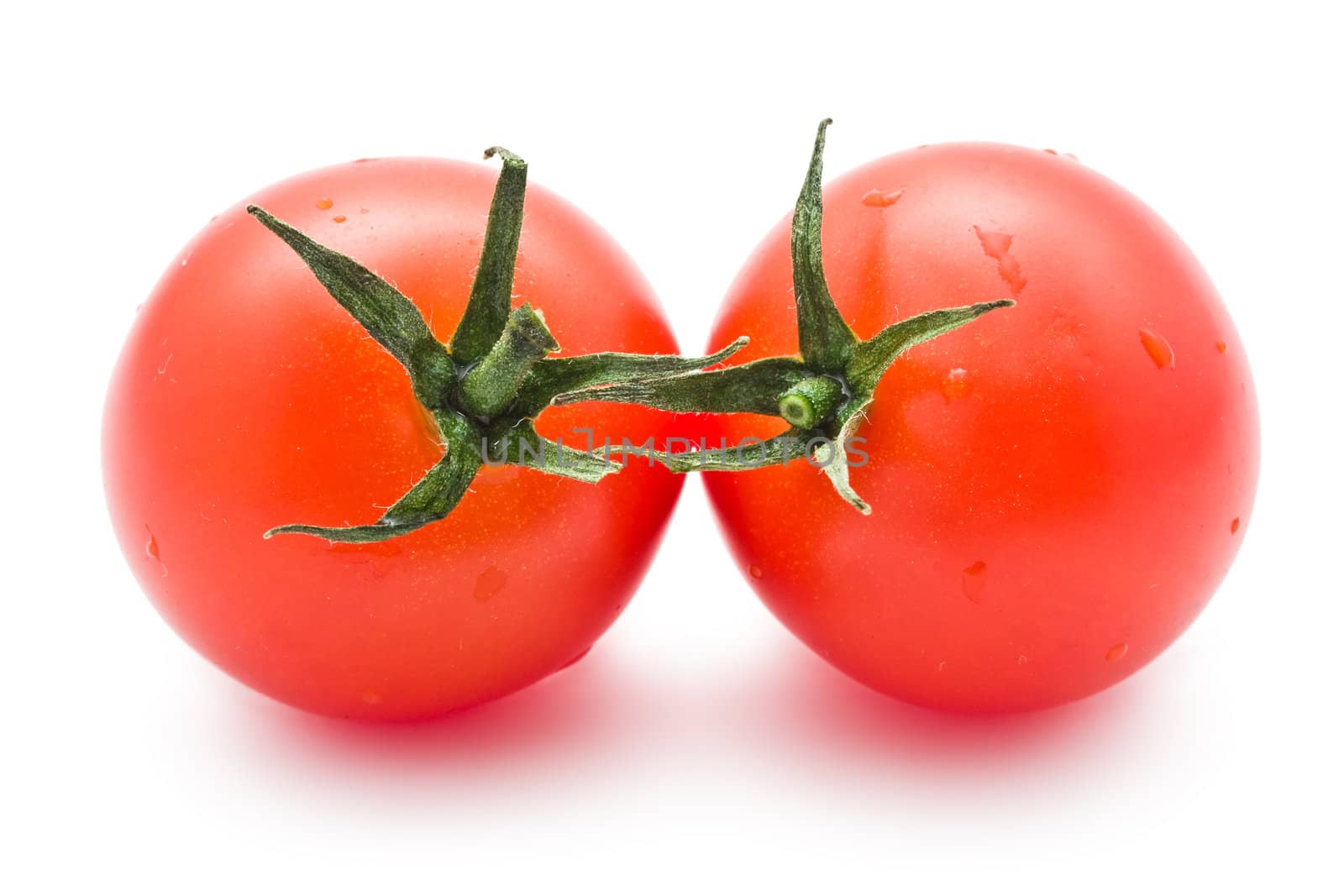 Fresh tomatoes isolated on white background