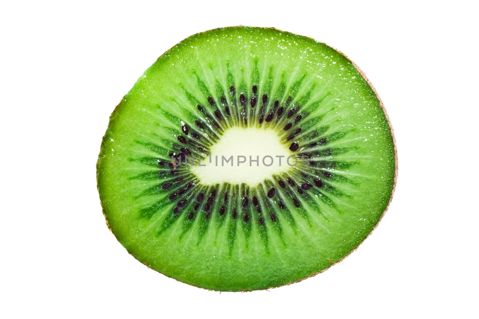 Fresh Kiwi isolated on white background