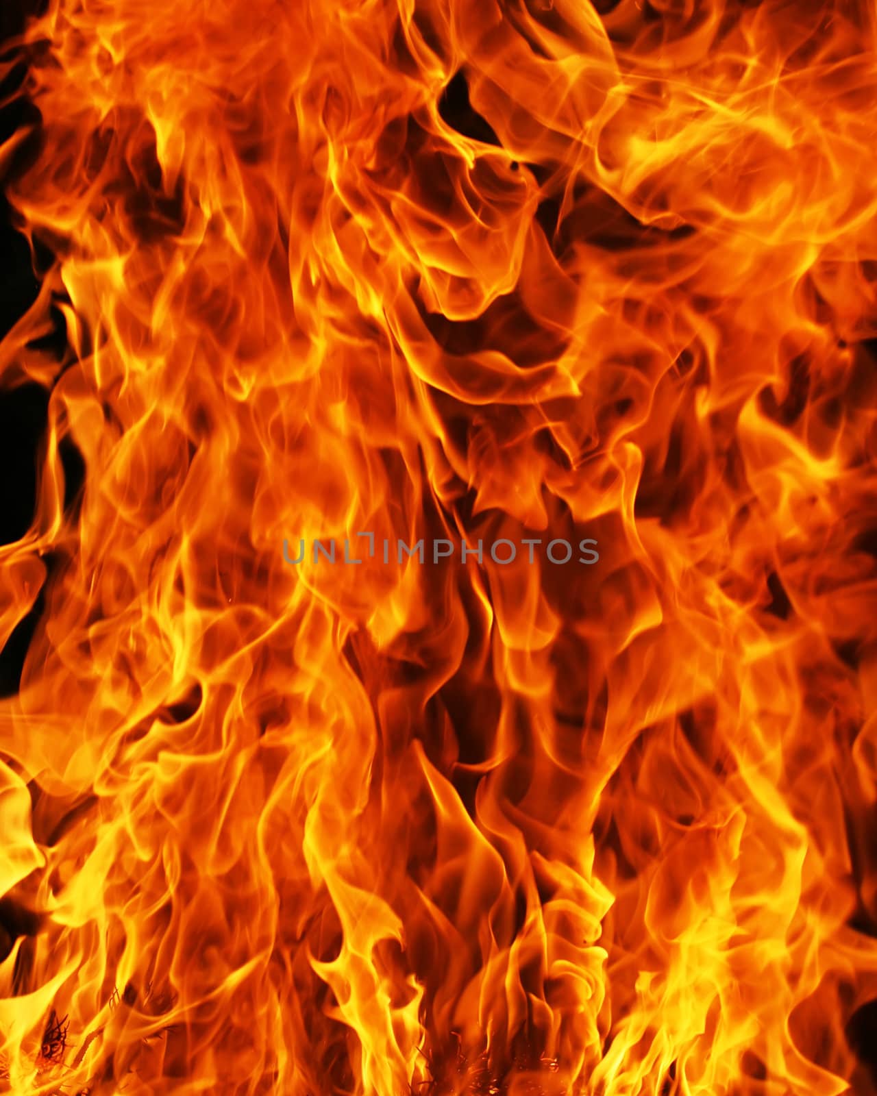 Flame burning on black background