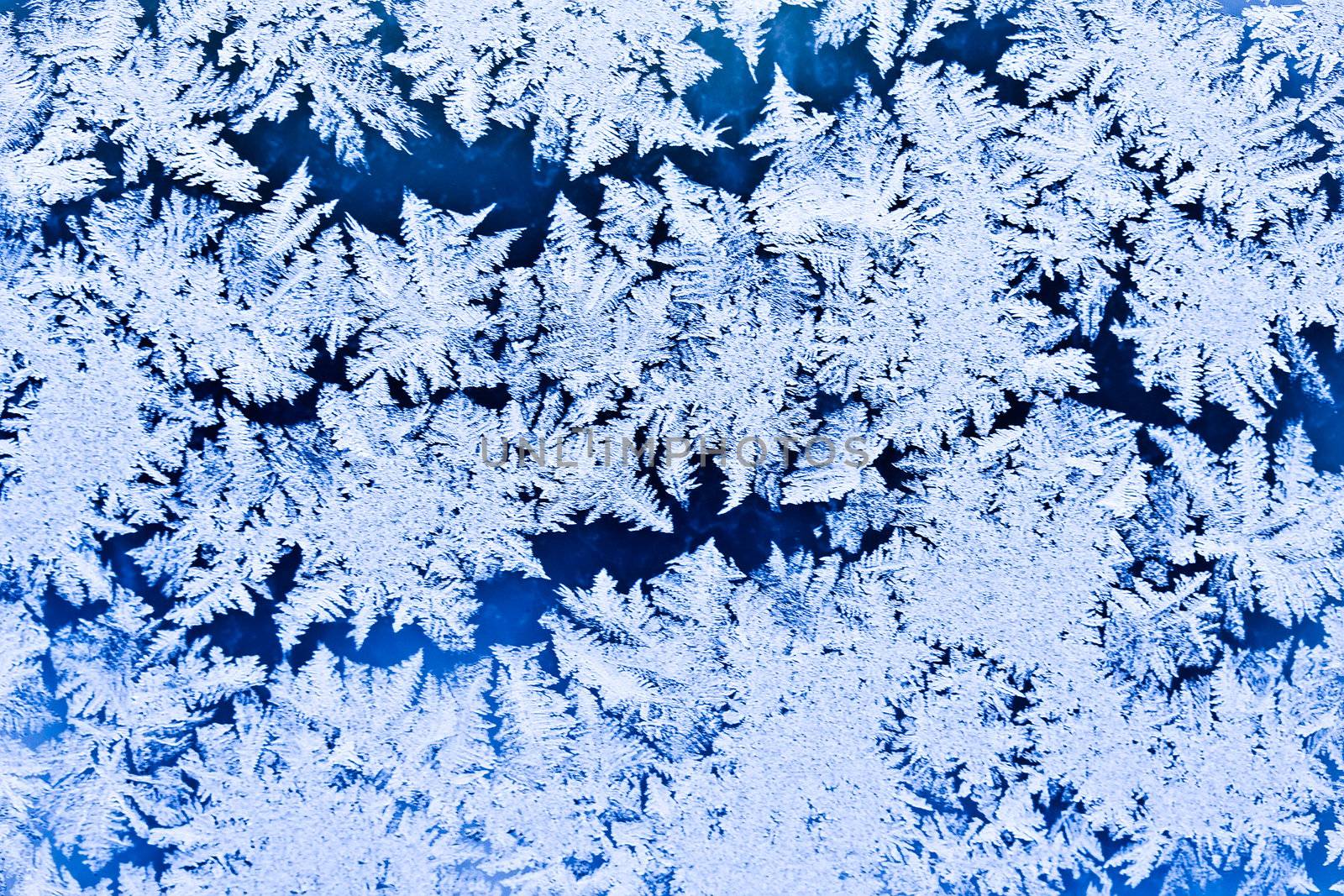 Frost pattern on a winter window