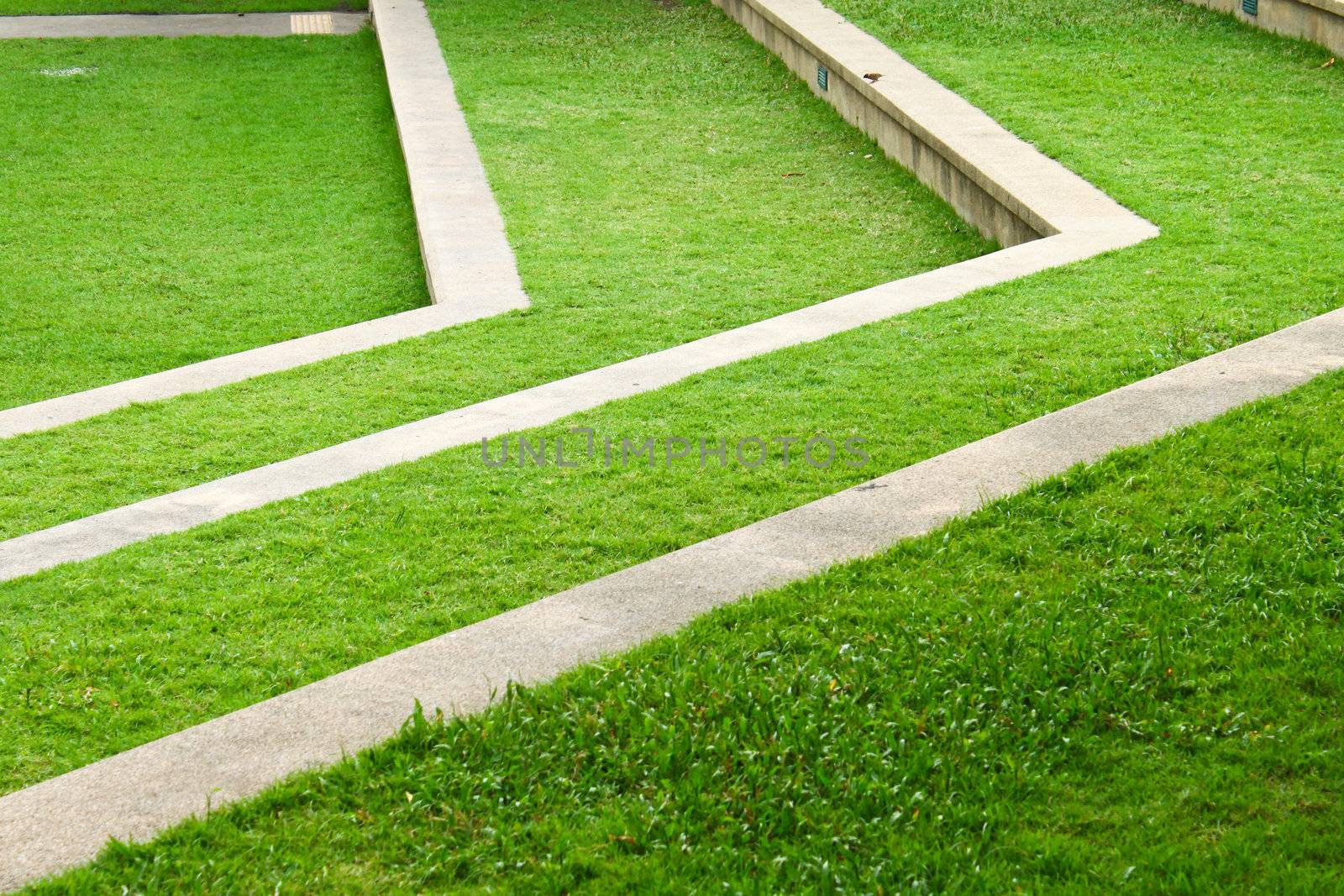 Step path on a garden surrounded with grass