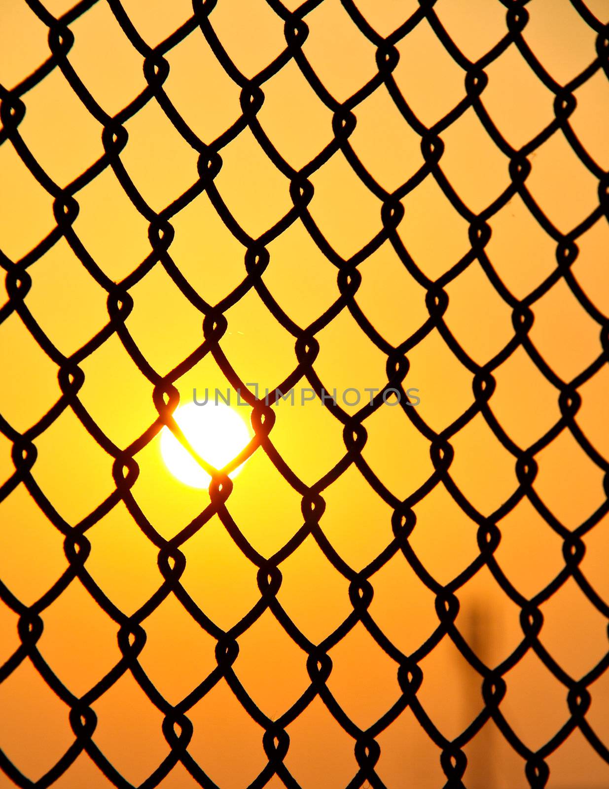 chain link wire fence with sun rise by nuchylee