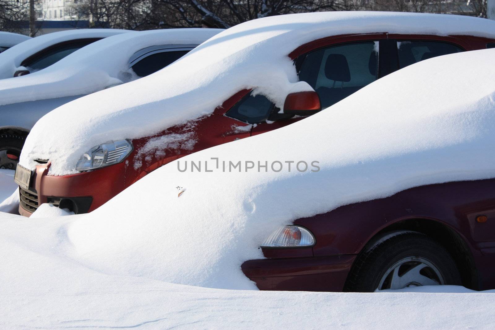 Cars covered with snow on parking