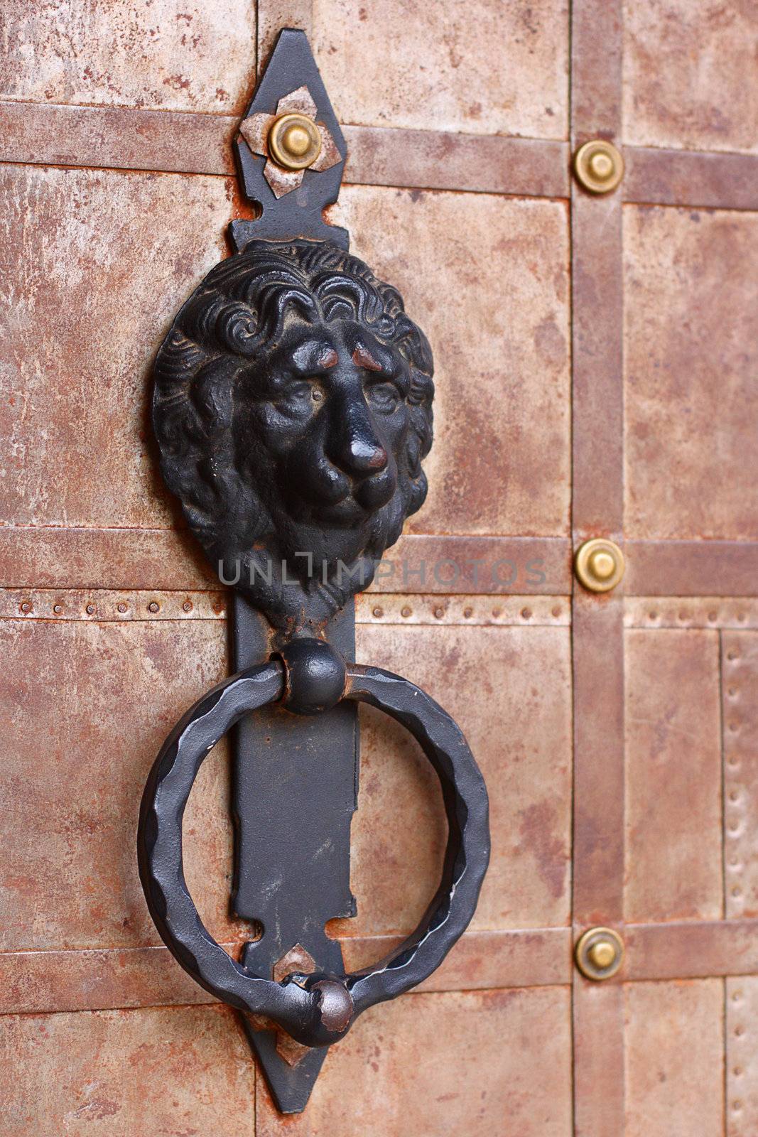 Old style lion's head knocker 