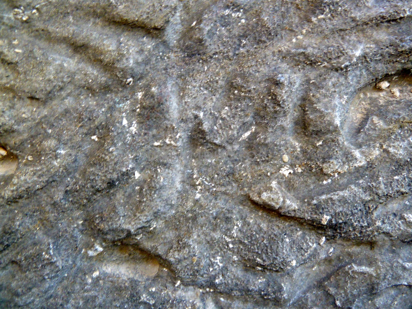 closeup on a section of rough grey stone