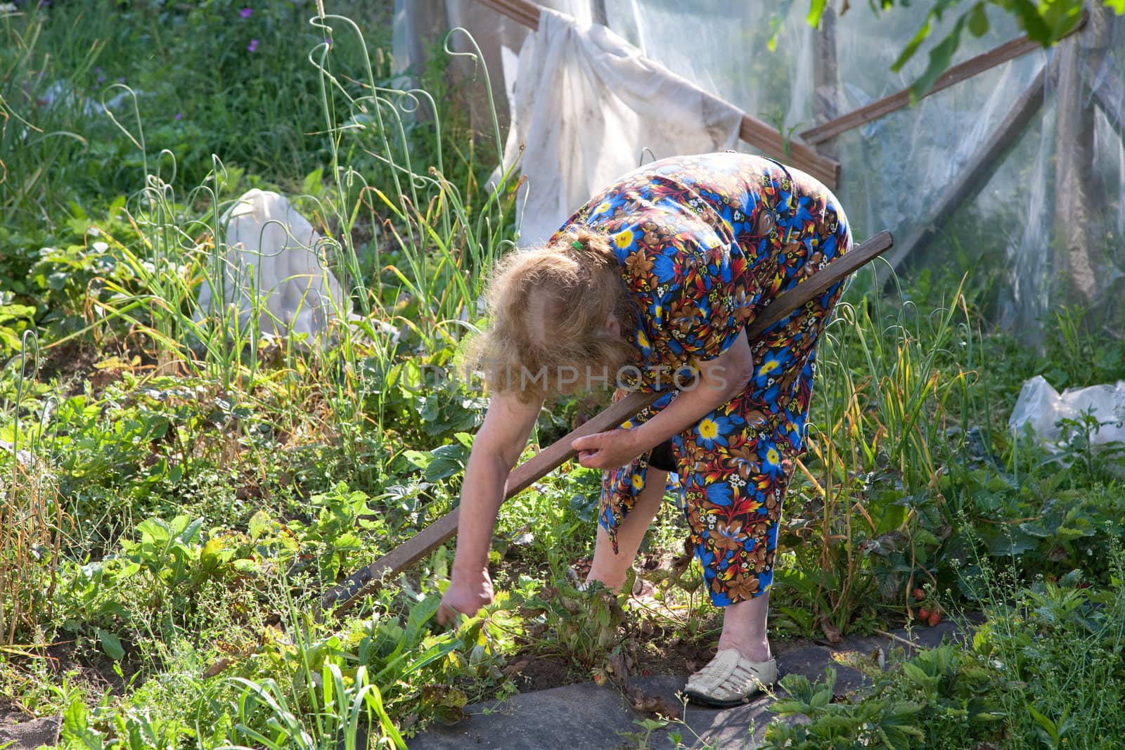 The old woman with a chopper works in garden