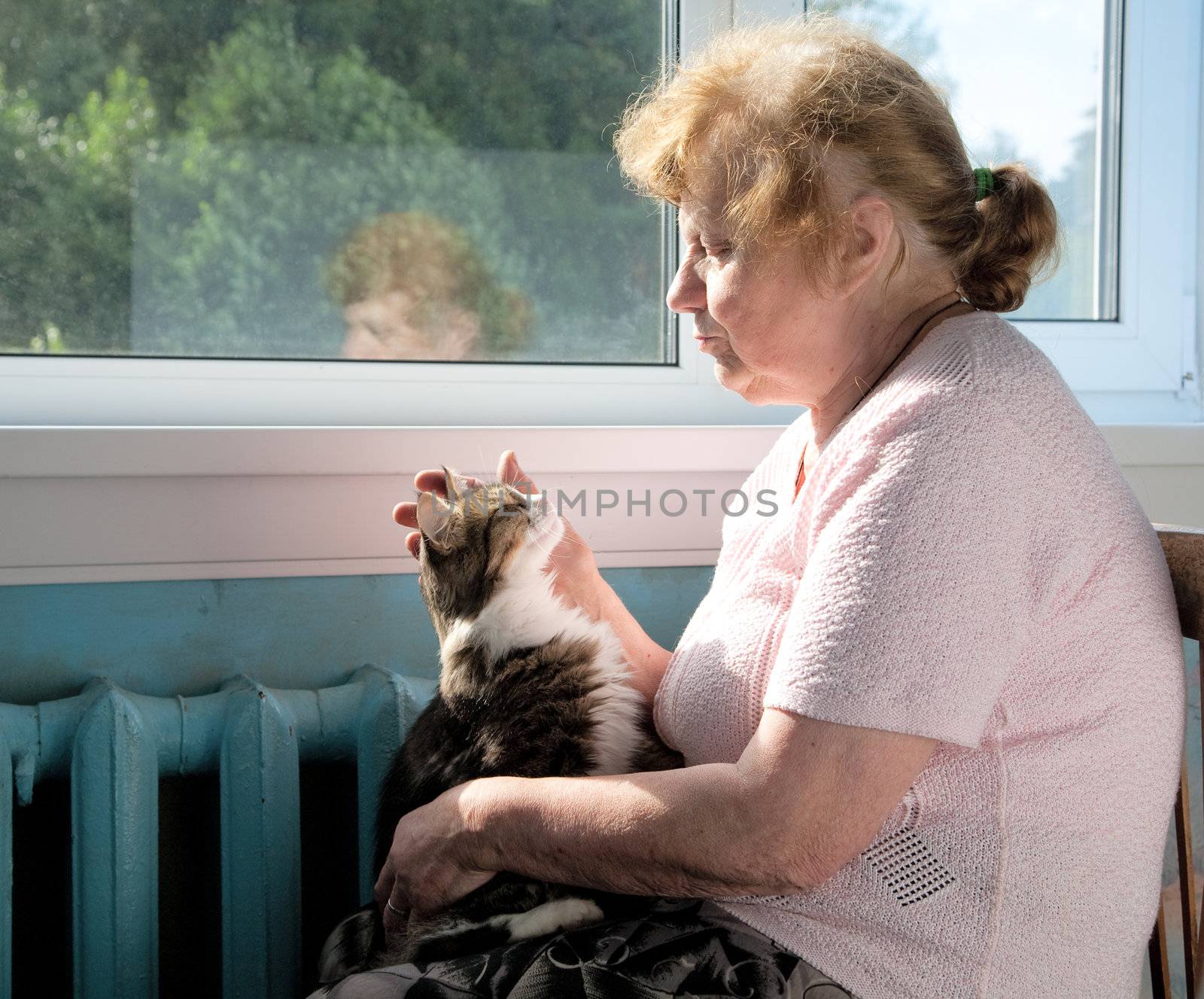 The old woman holds cat in a lap