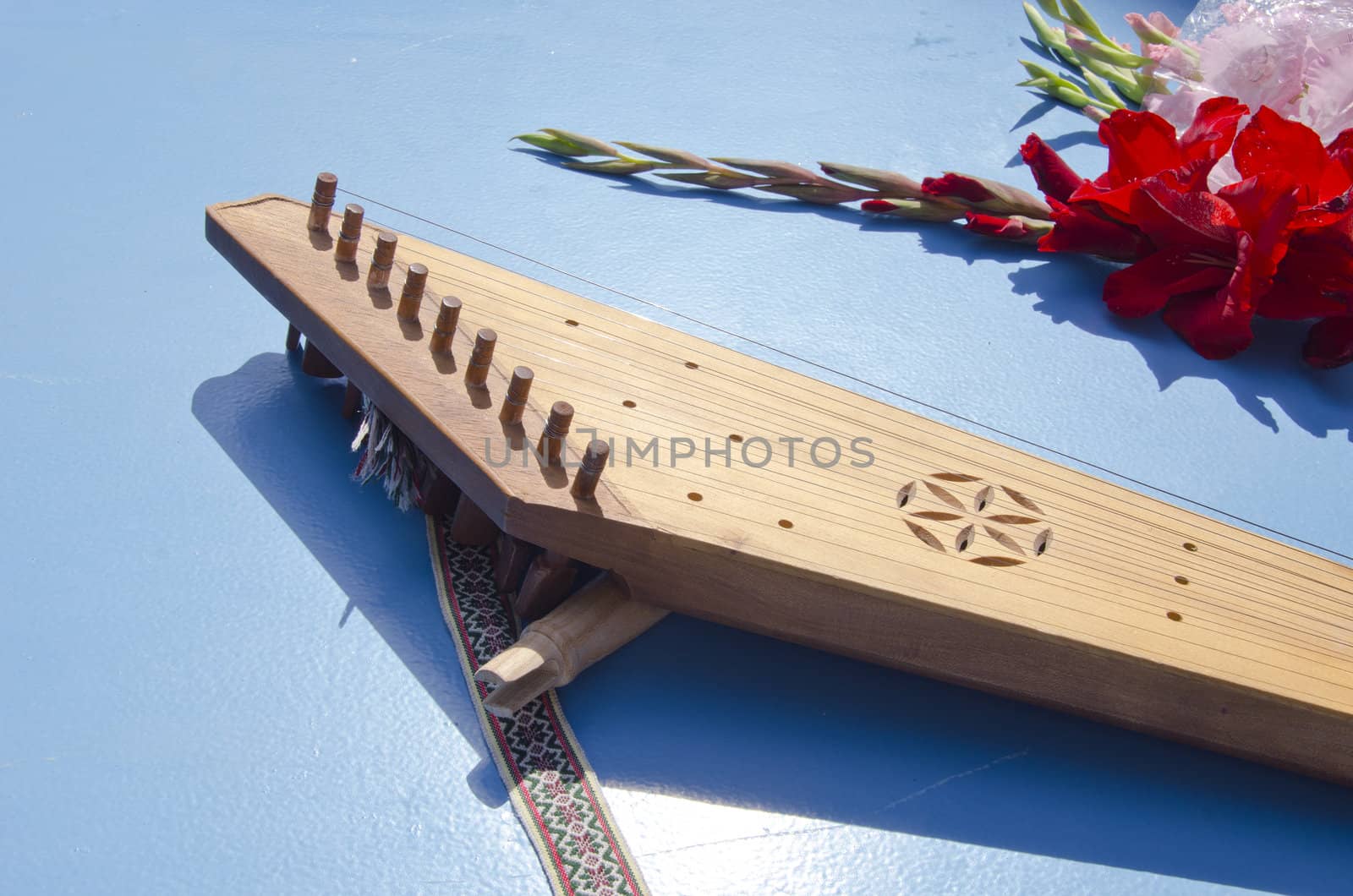 Lithuanian folk fiddle music instrument. National ribbon and red gladioli flower.