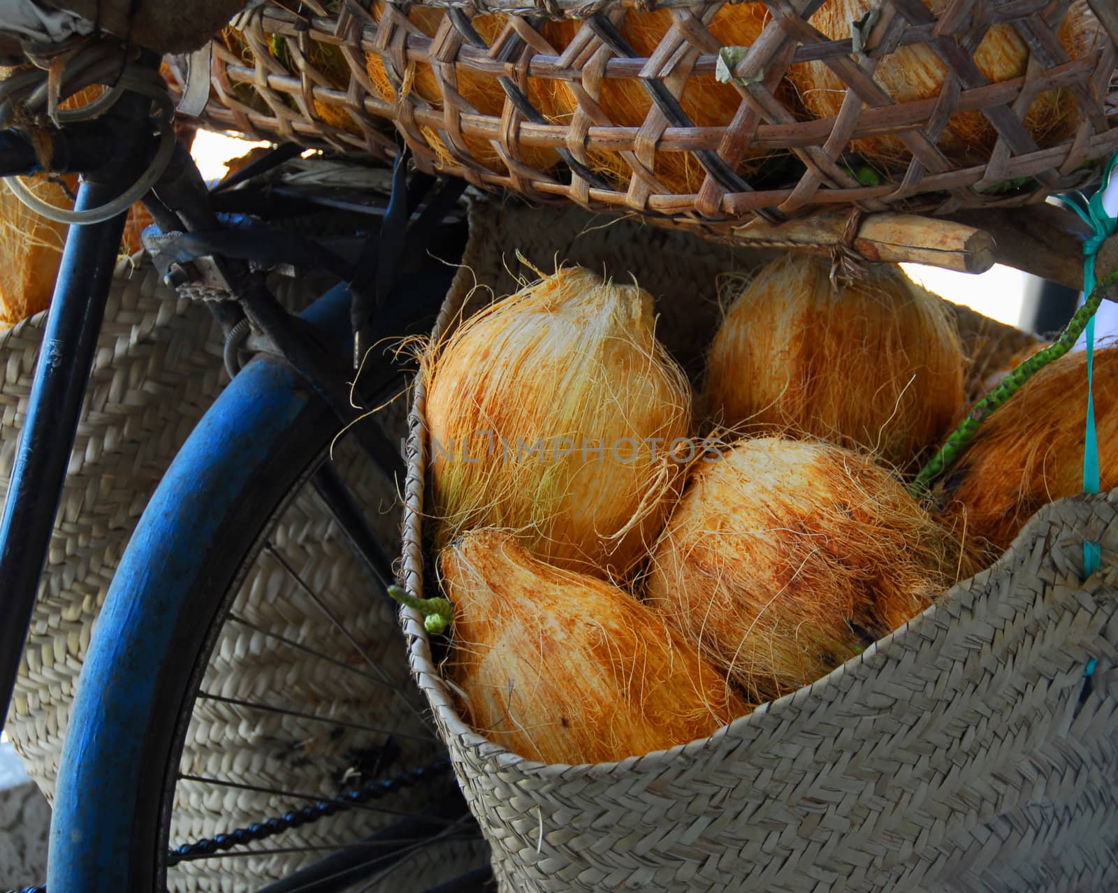 fruit of coconut in a basket