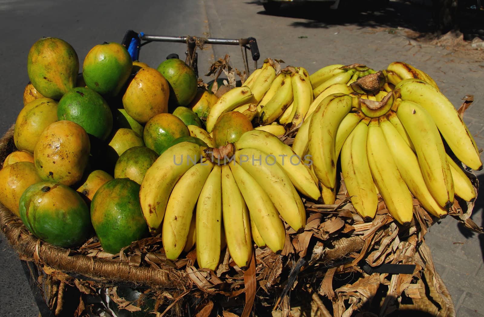 bananas by africa